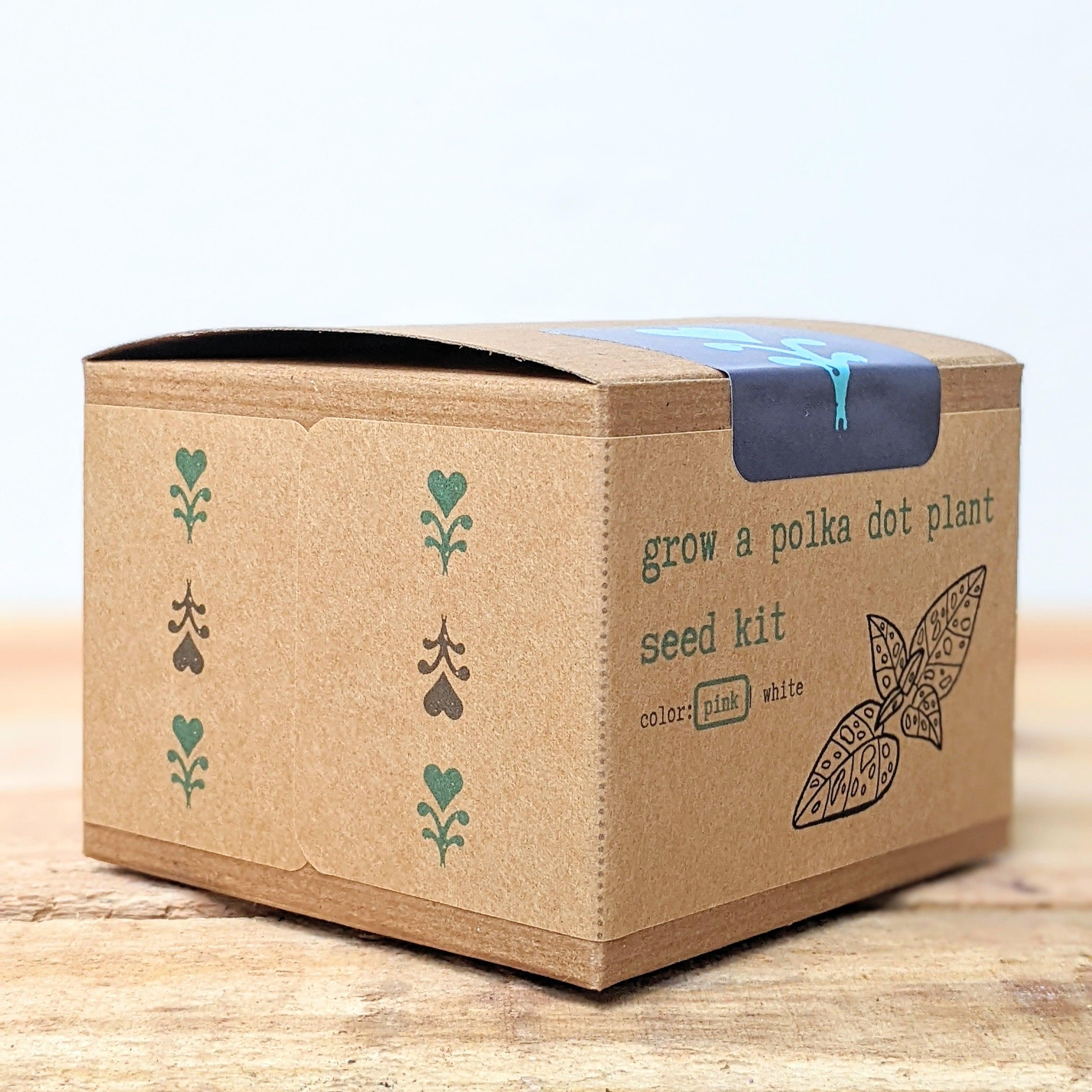 Grow a Polka Dot Seed Kit - Plantflix