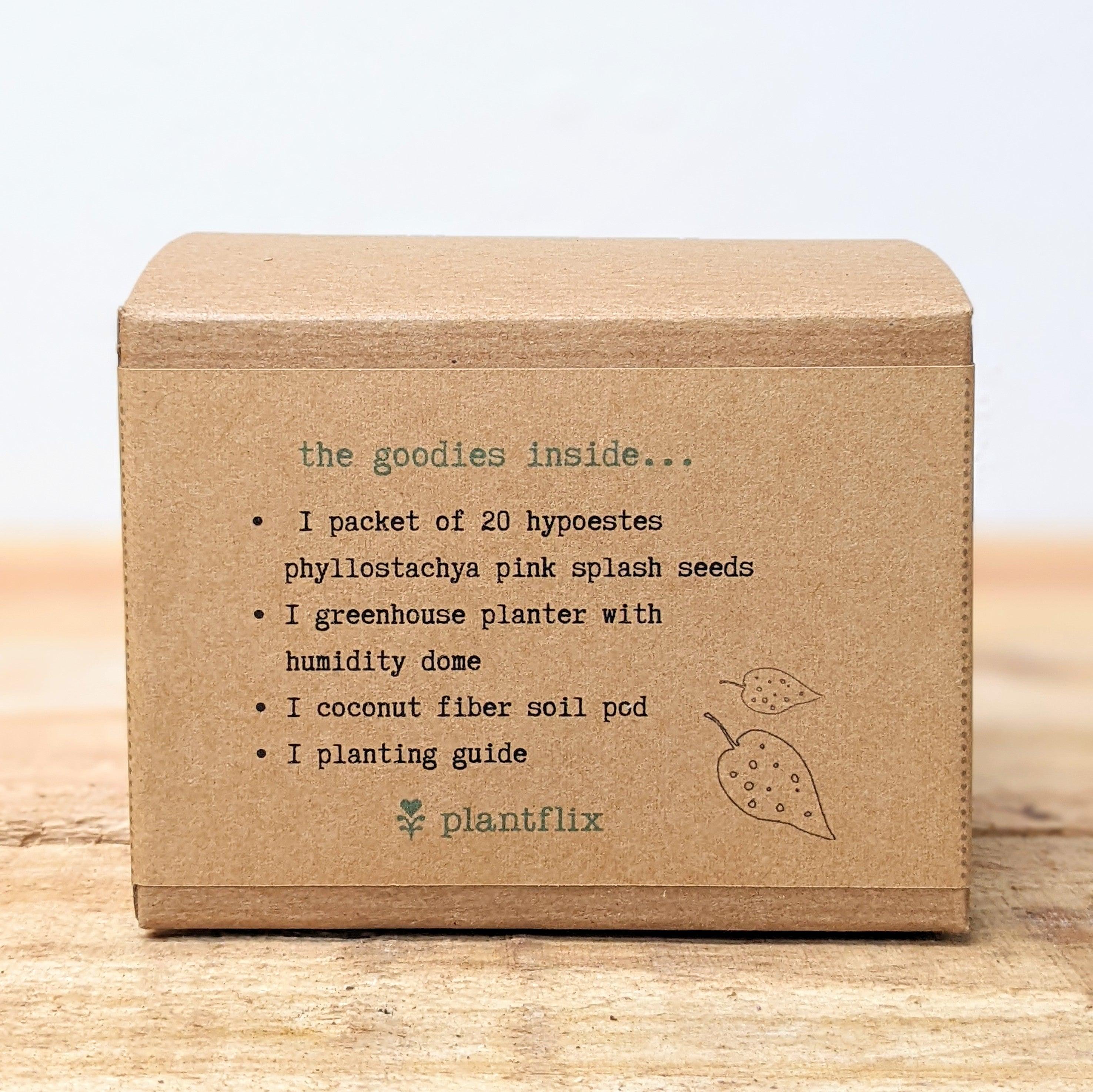 Grow a Polka Dot Seed Kit - Plantflix