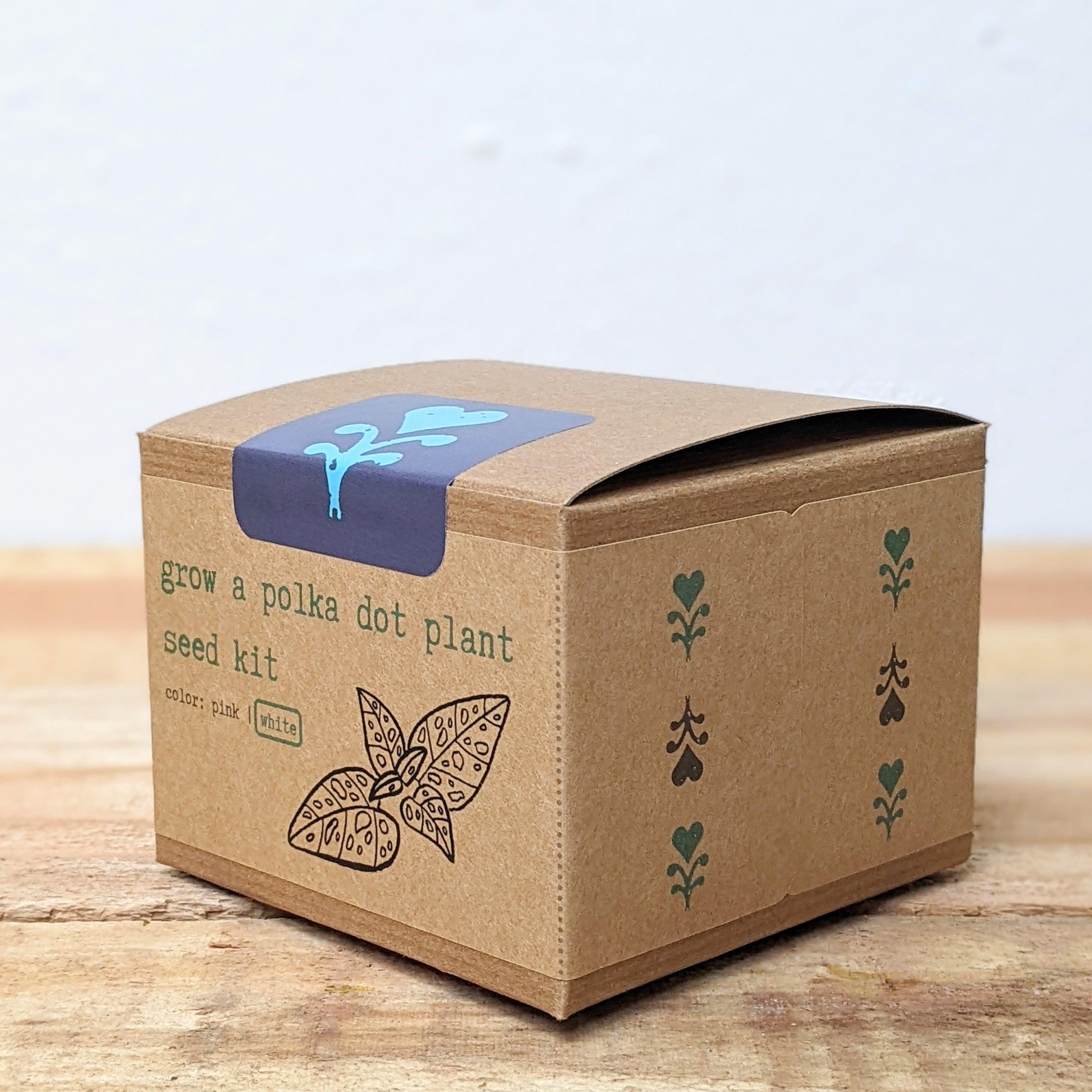 Grow a Polka Dot Seed Kit - Plantflix