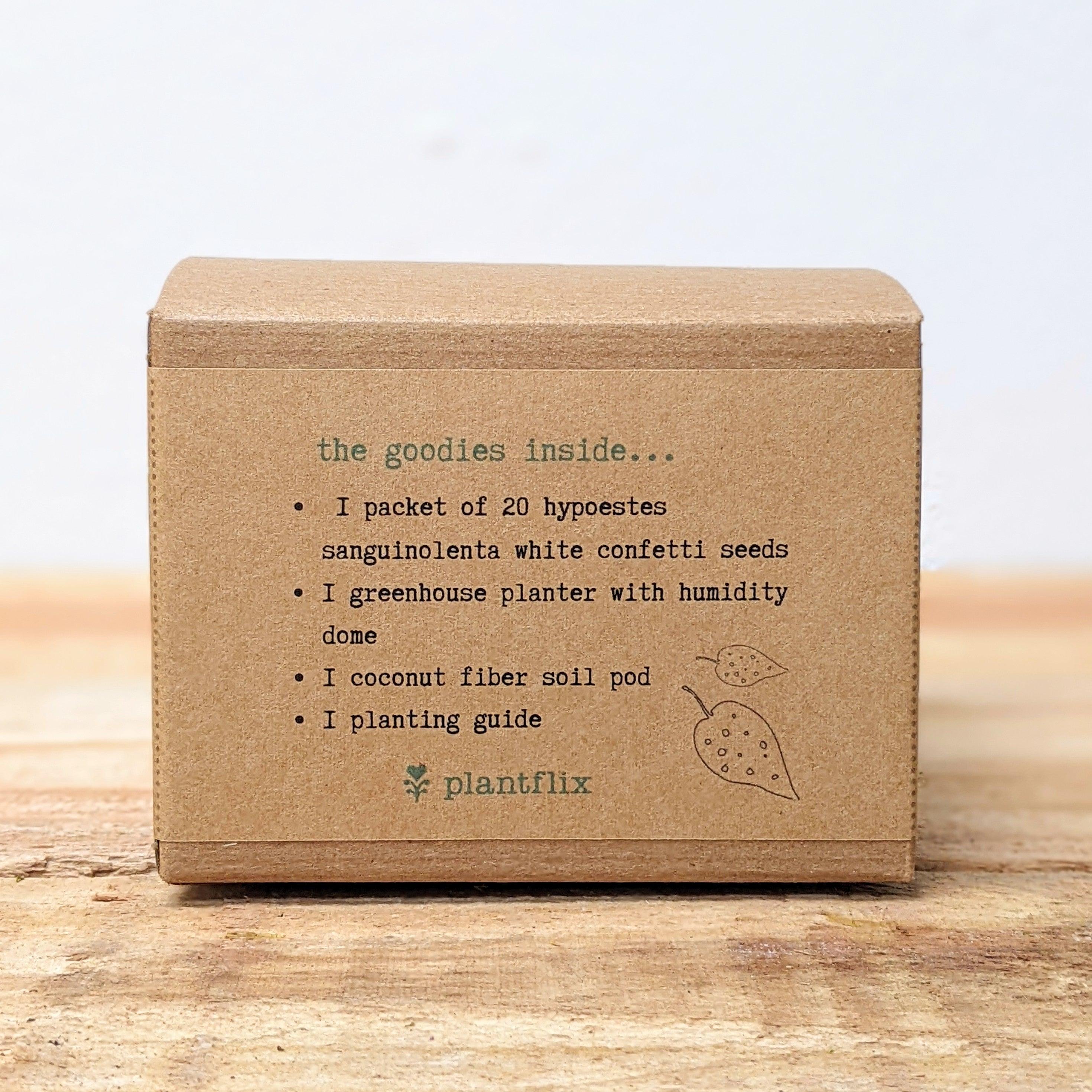 Grow a Polka Dot Seed Kit - Plantflix