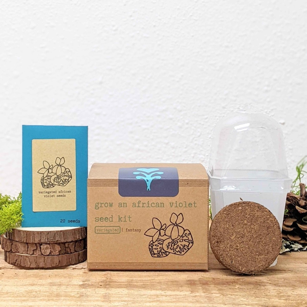 Grow an African Violet Seed Kit - Plantflix