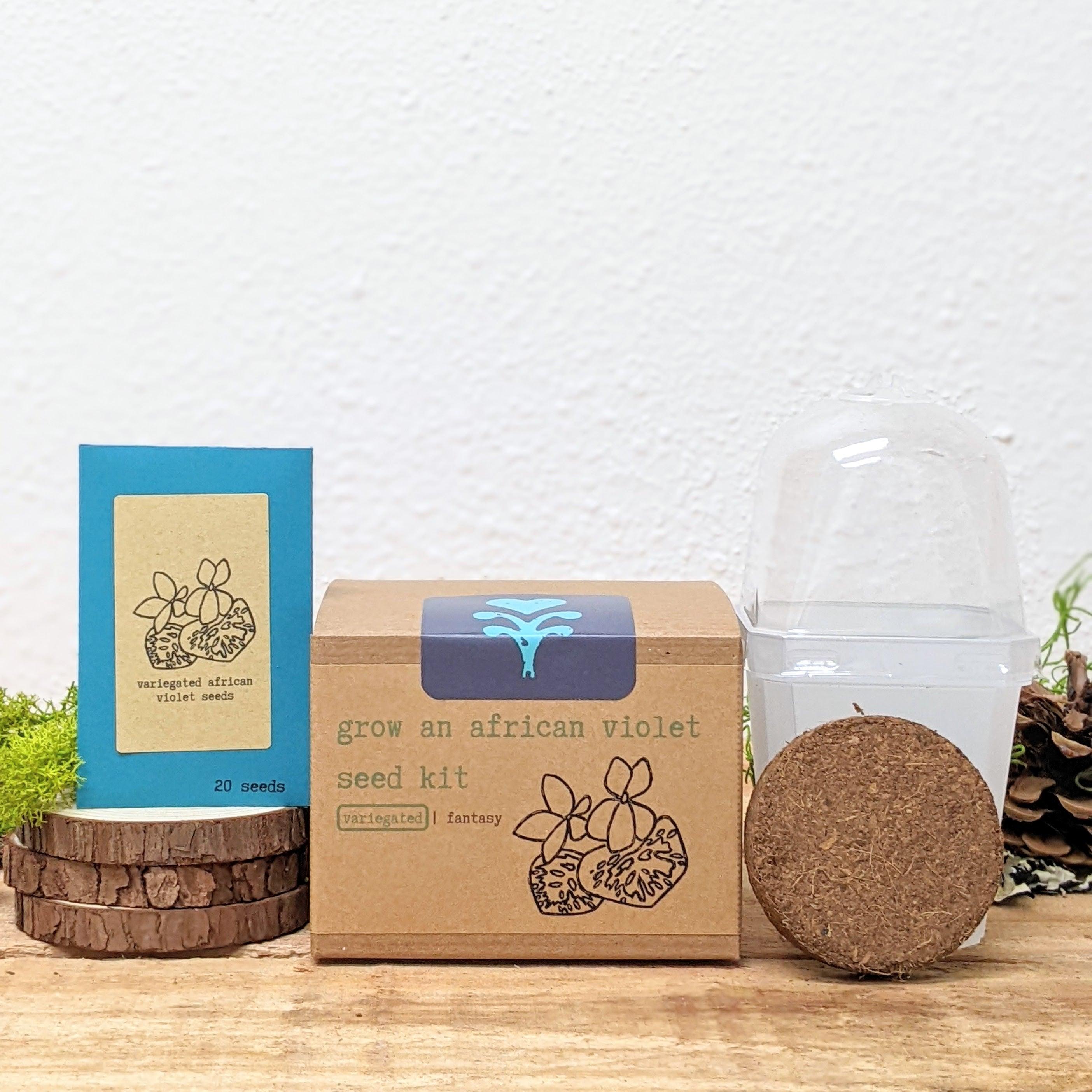 Grow an African Violet Seed Kit - Plantflix