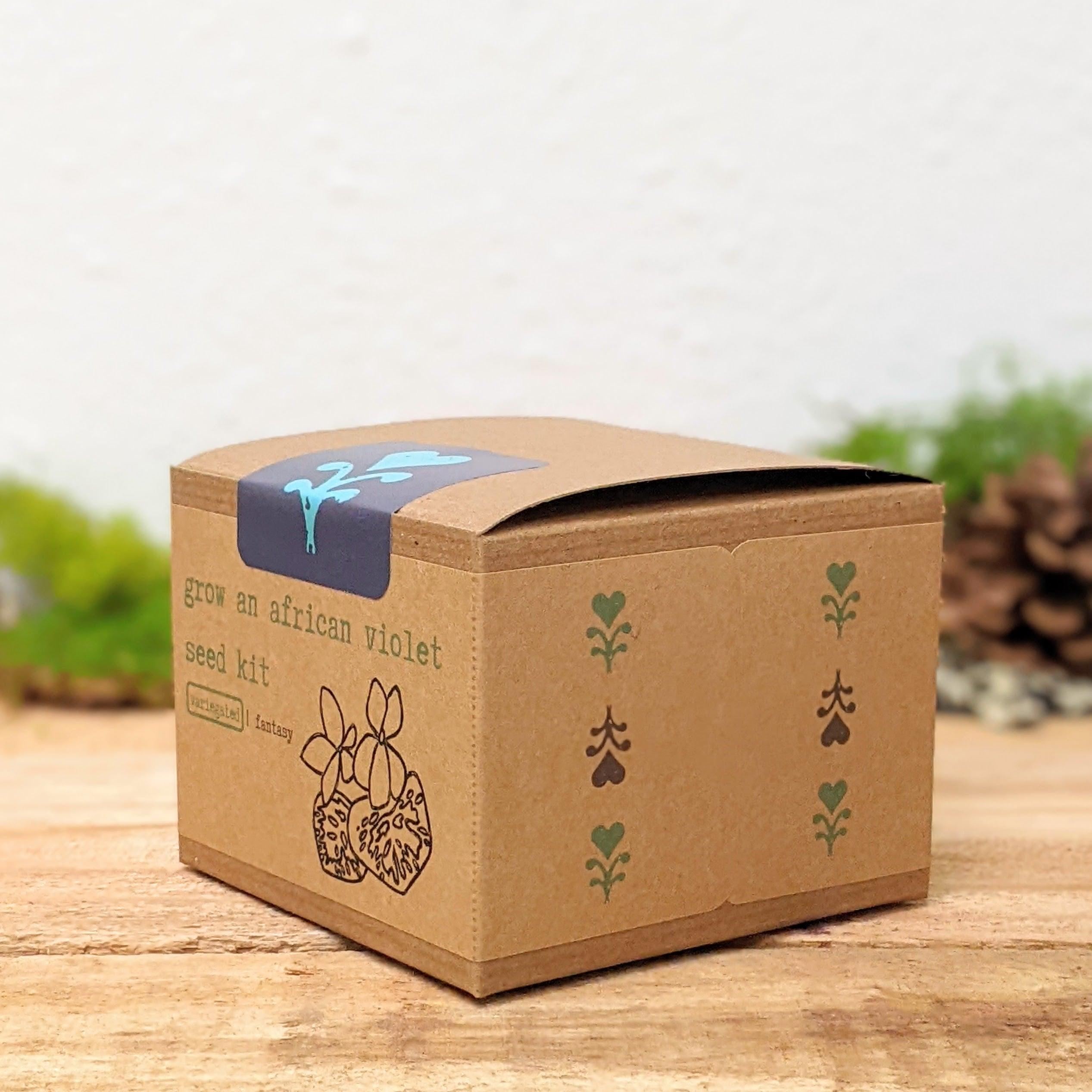 Grow an African Violet Seed Kit - Plantflix