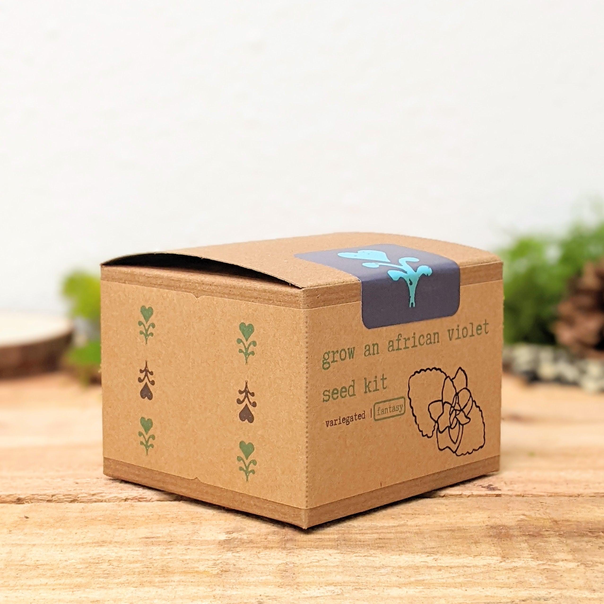 Grow an African Violet Seed Kit - Plantflix