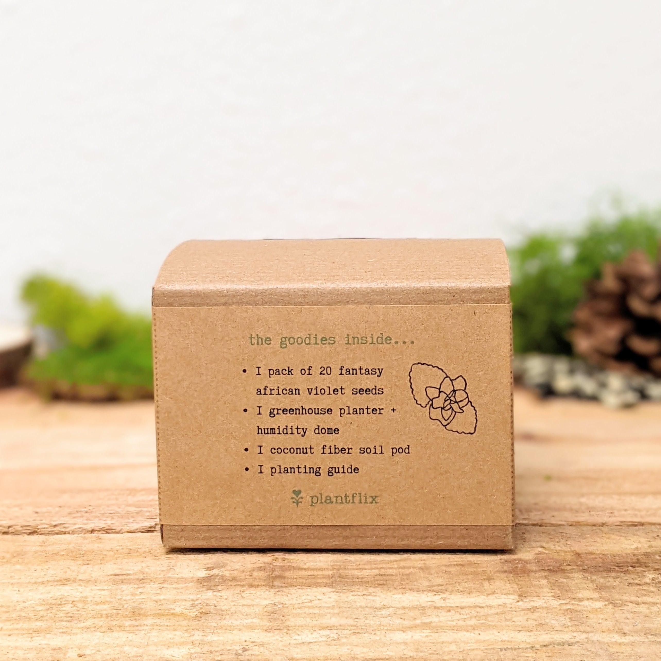 Grow an African Violet Seed Kit - Plantflix