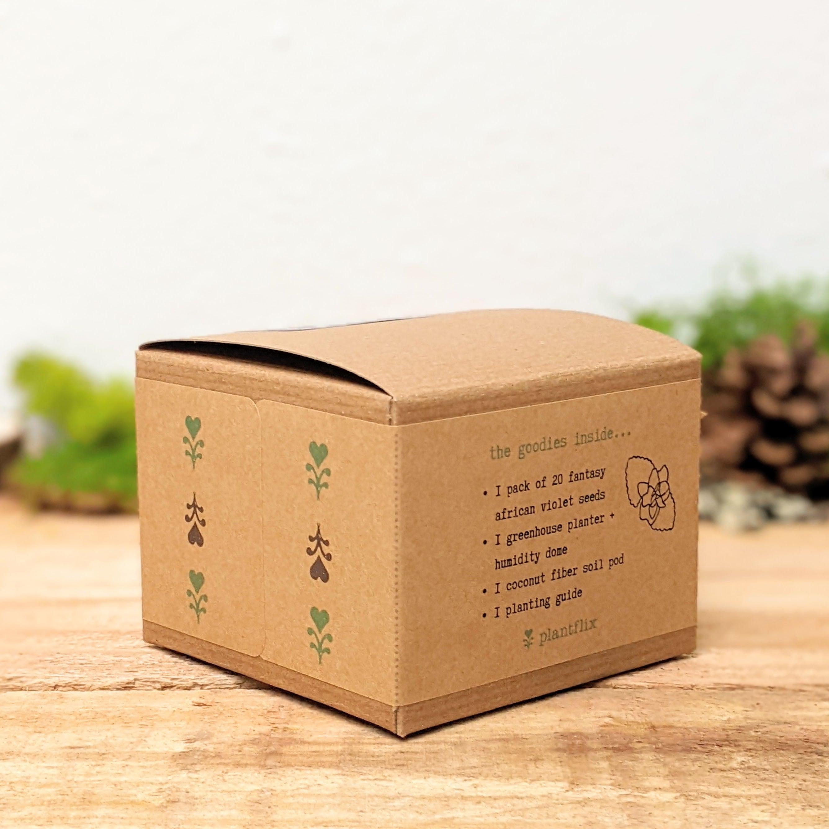 Grow an African Violet Seed Kit - Plantflix