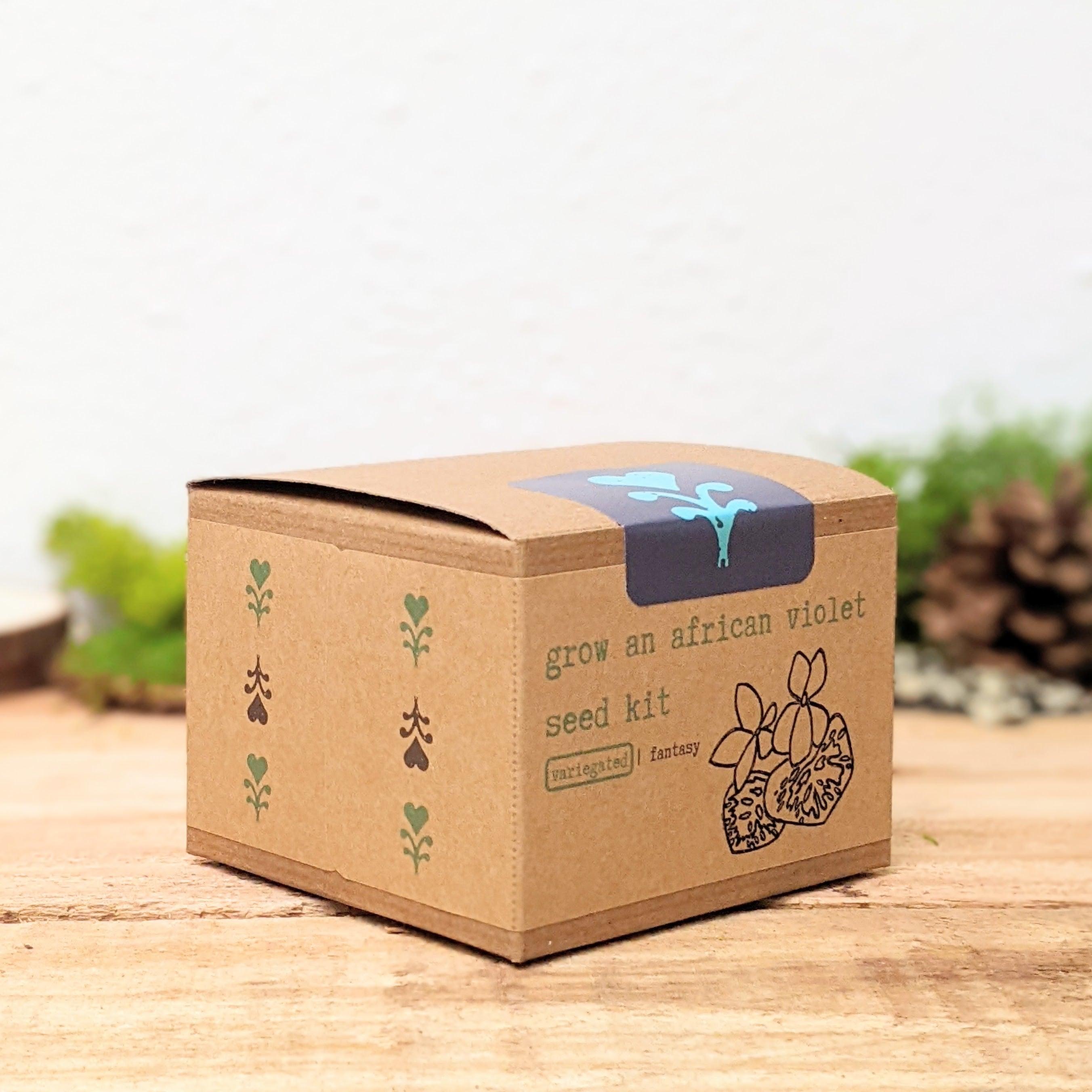 Grow an African Violet Seed Kit - Plantflix