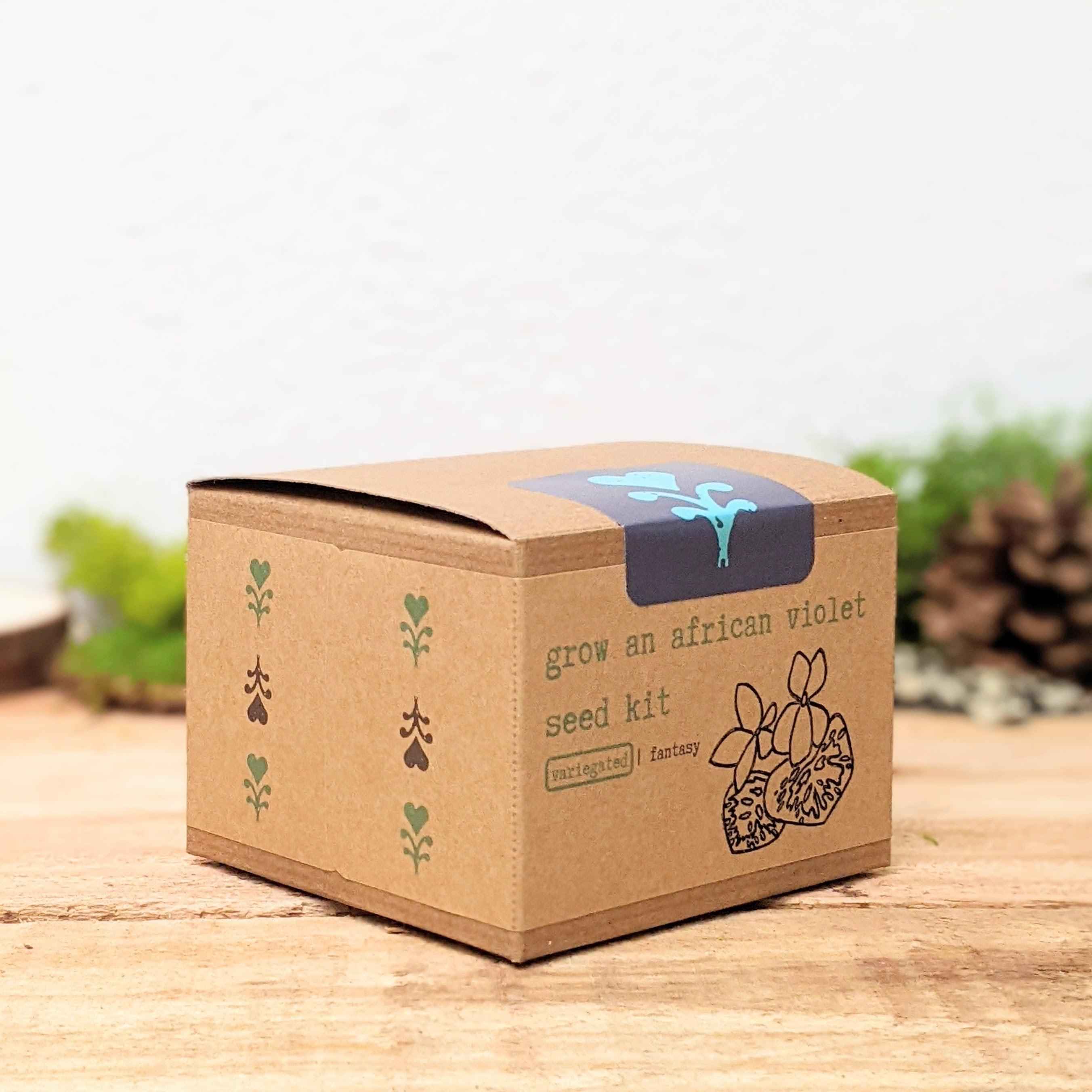 Grow an African Violet Seed Kit