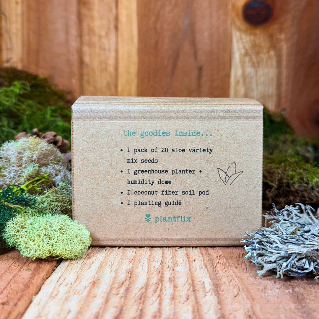 Grow an Aloe Plant Seed Kit - Plantflix