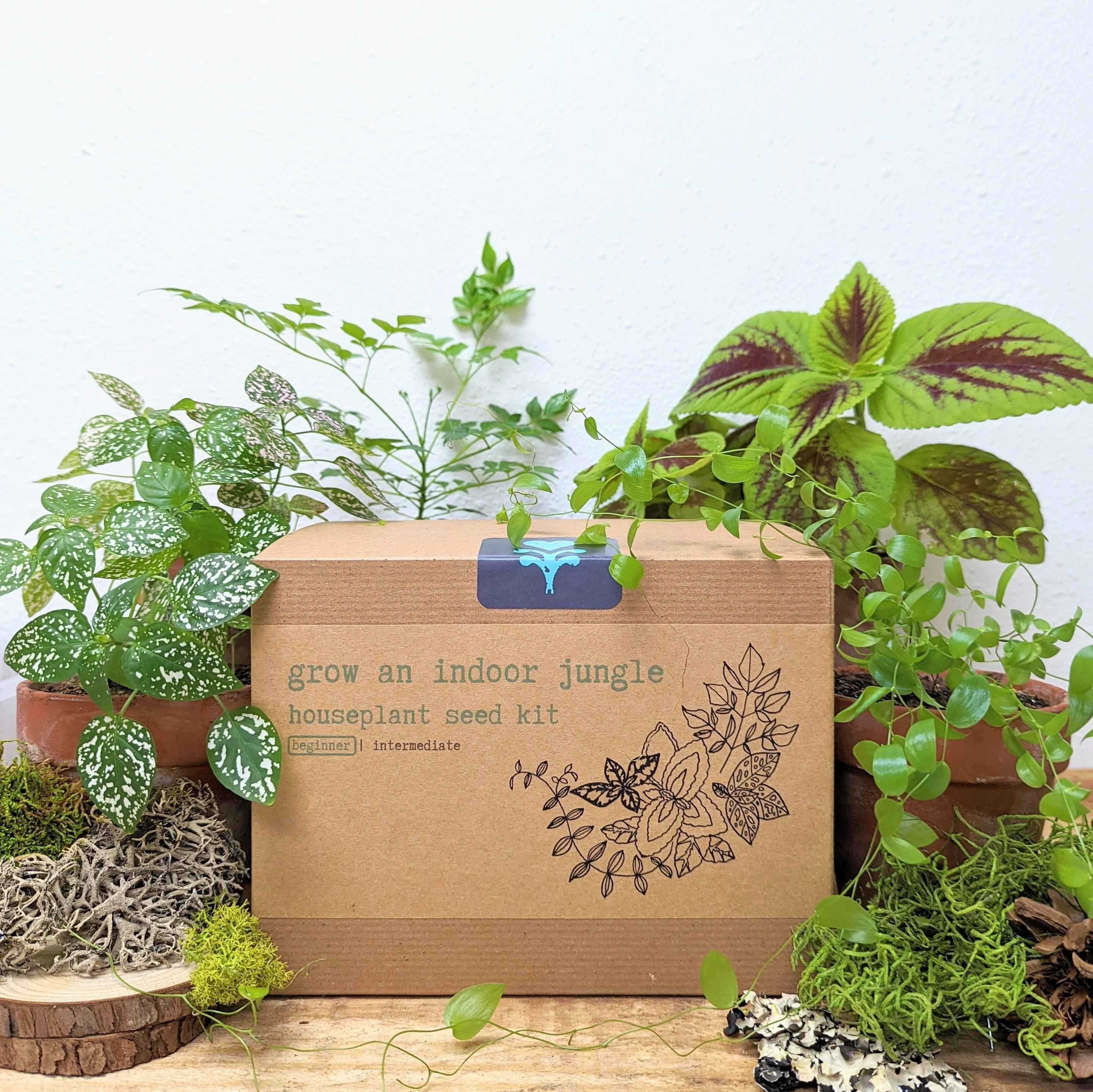 "Grow an Indoor Jungle" Houseplant Seed Kit