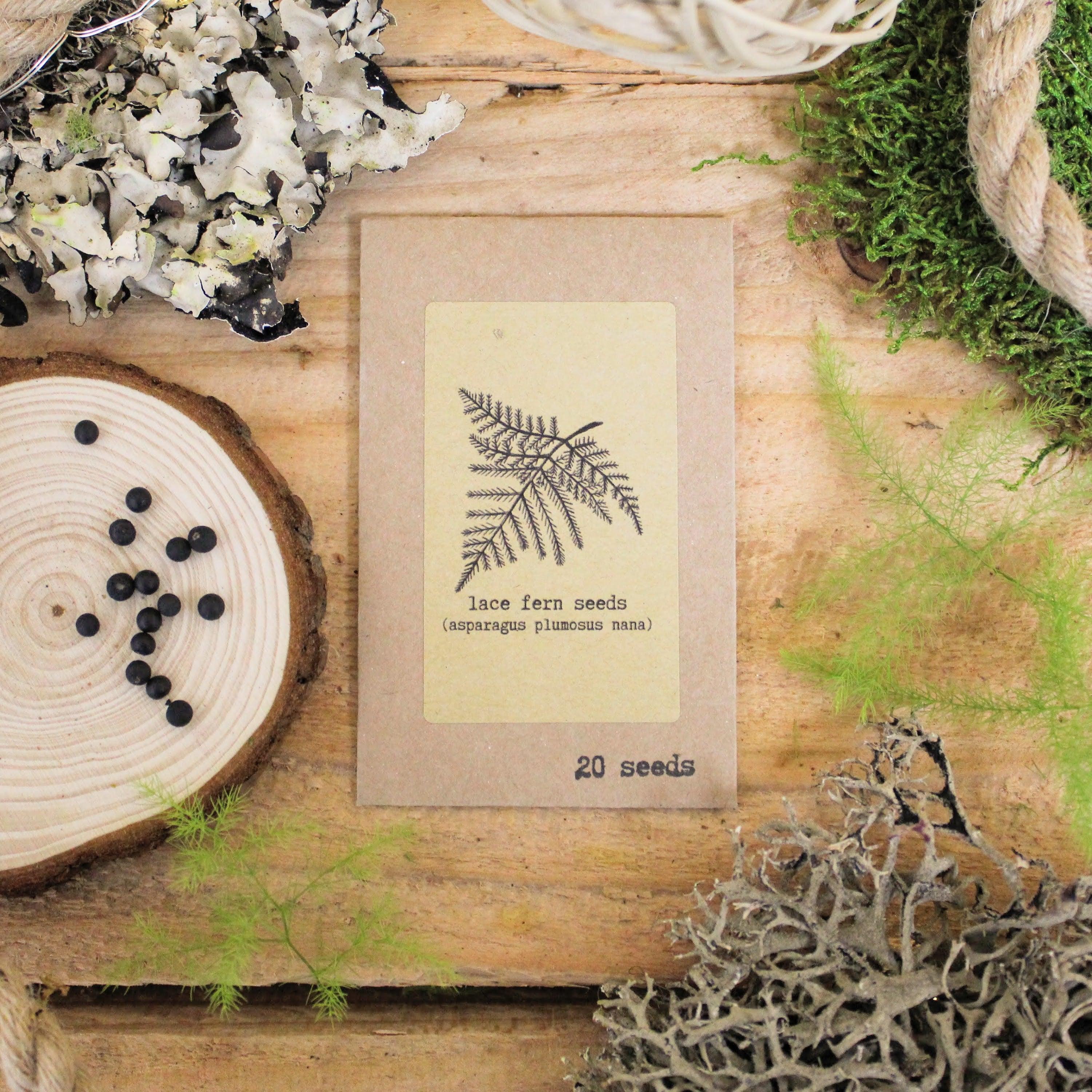 "Grow an Indoor Jungle" Houseplant Seed Kit - Plantflix