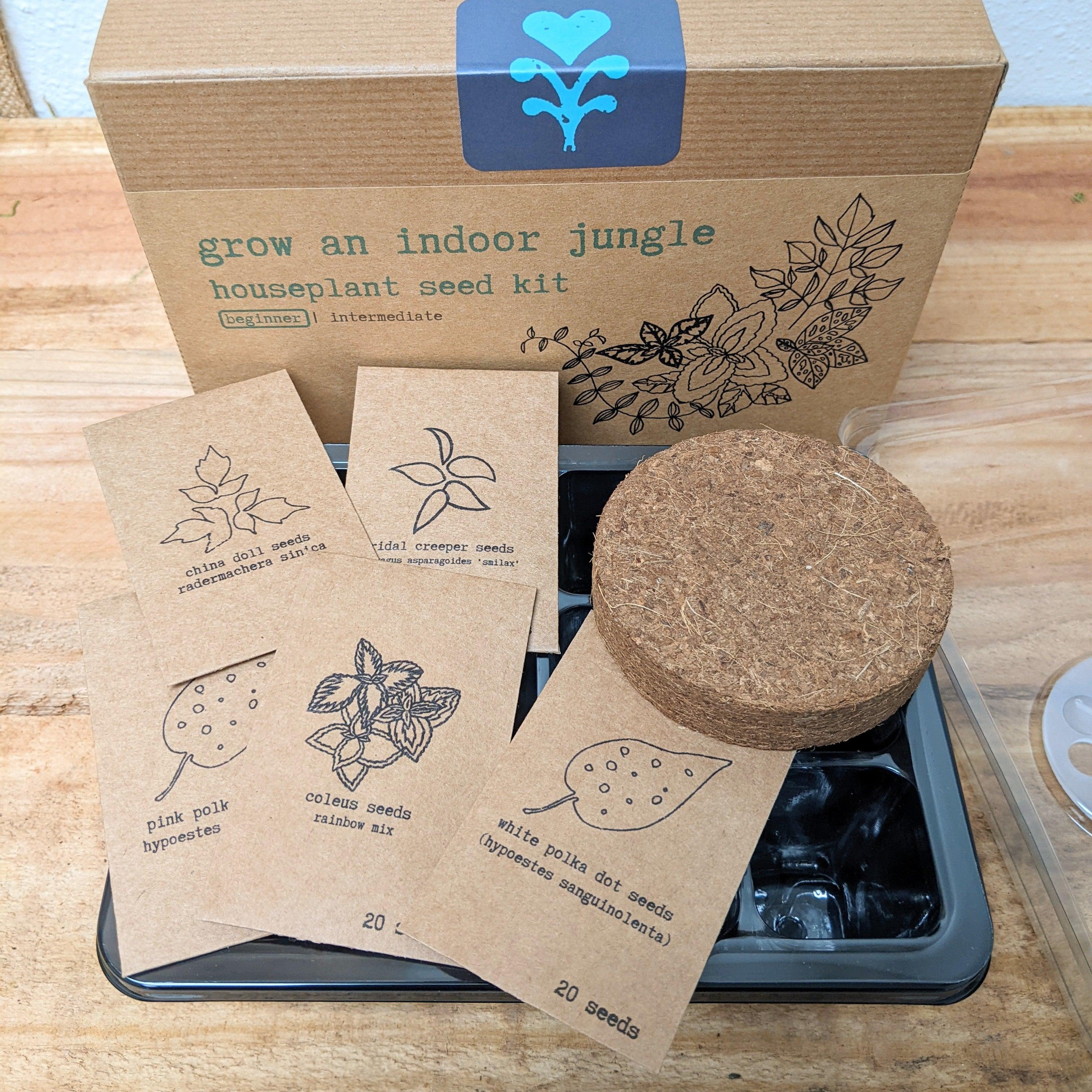 "Grow an Indoor Jungle" Houseplant Seed Kit - Plantflix