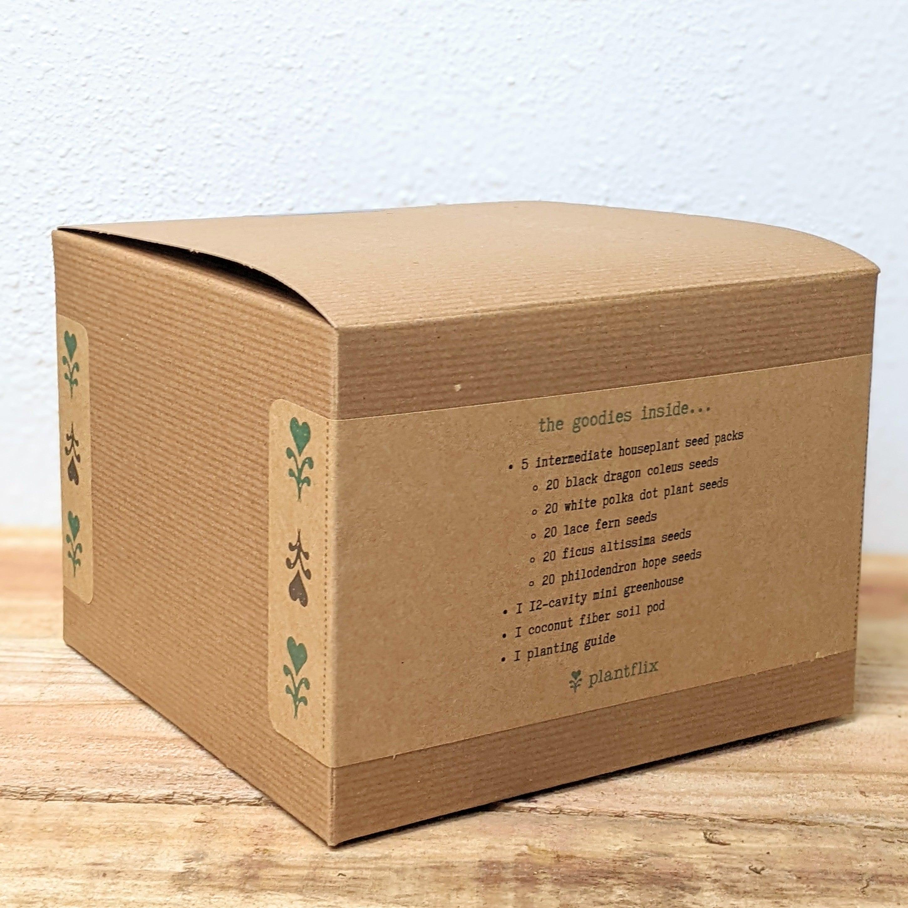"Grow an Indoor Jungle" Houseplant Seed Kit - Plantflix