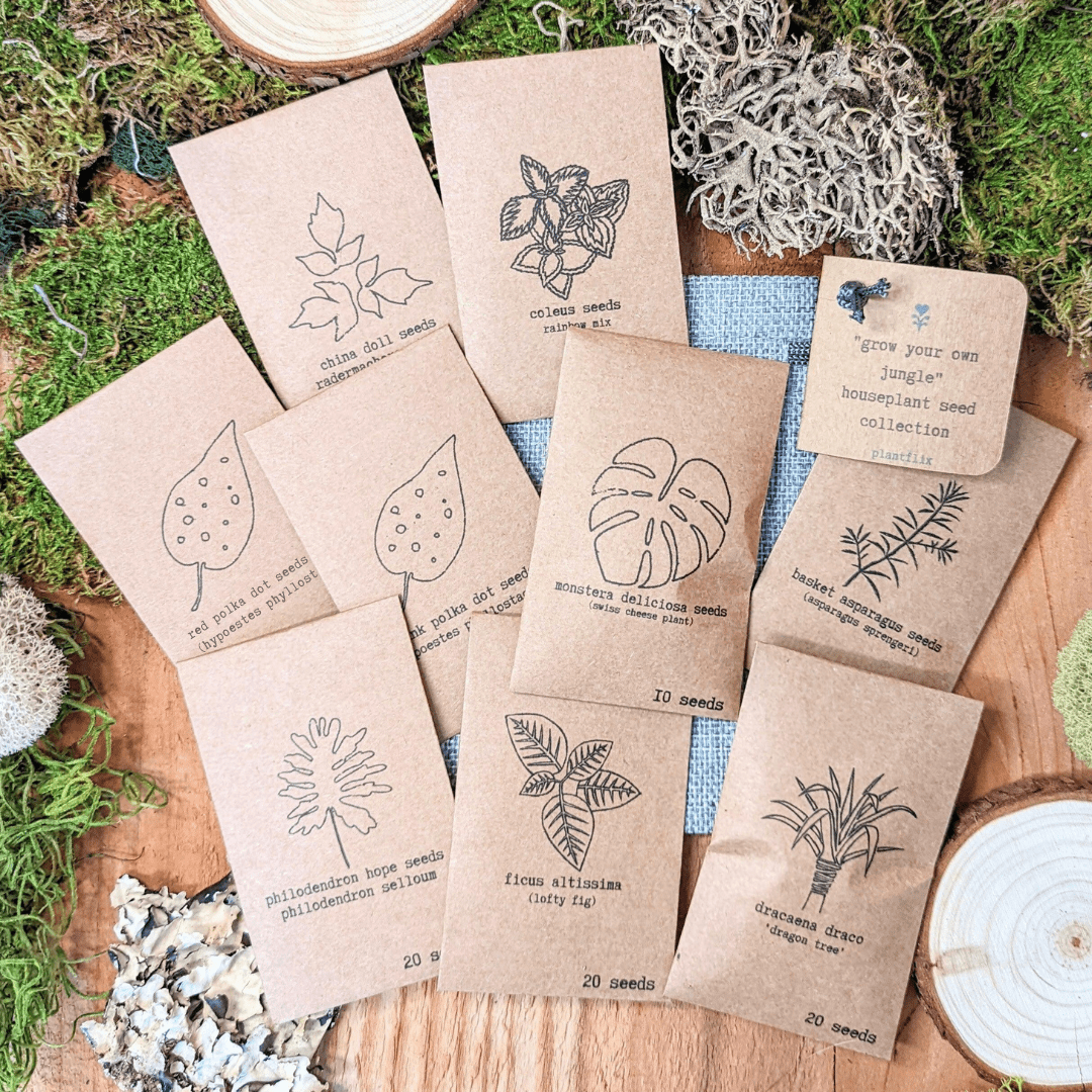 "Grow your own Jungle" Houseplant Seed Collection - Plantflix