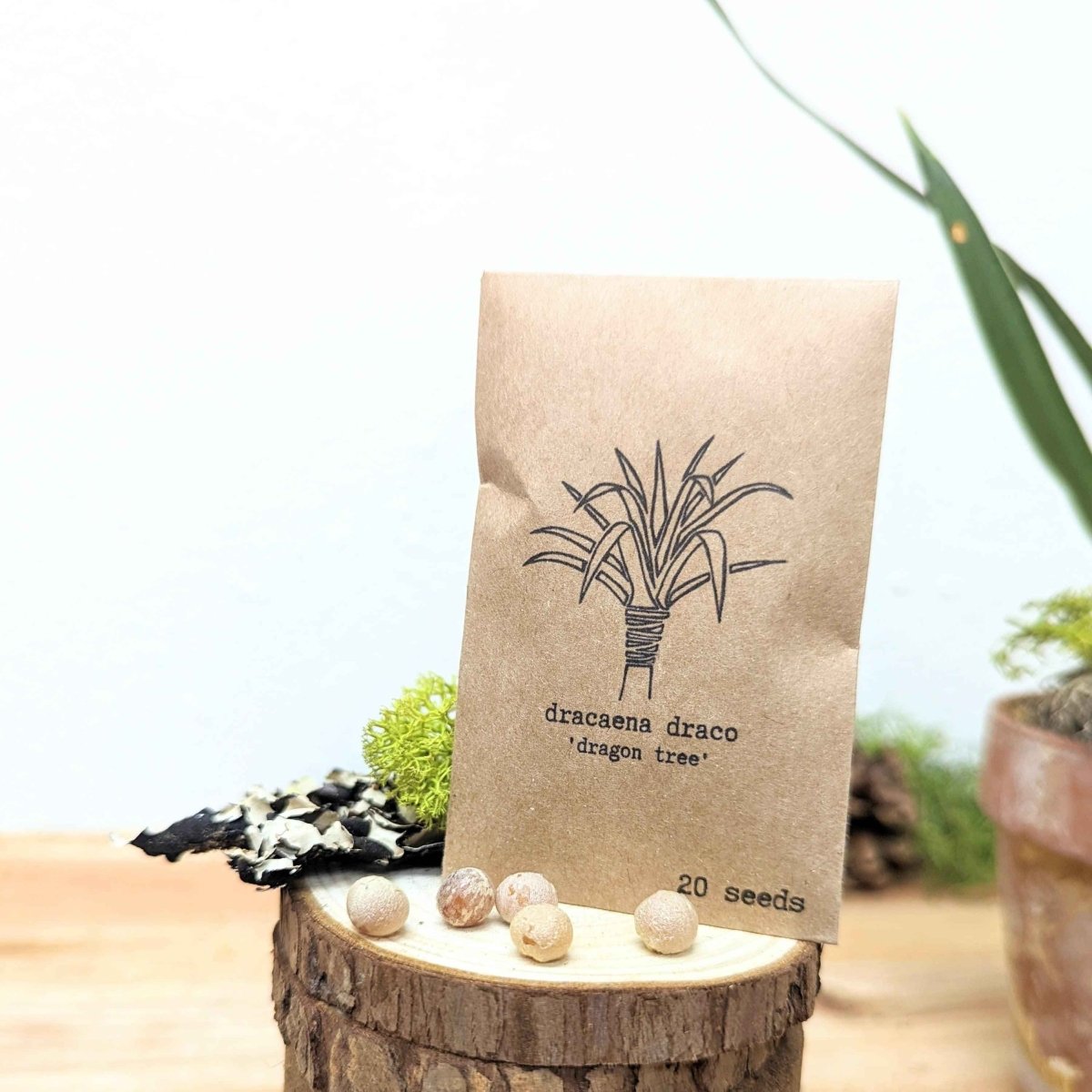 "Grow your own Jungle" Houseplant Seed Collection - Plantflix