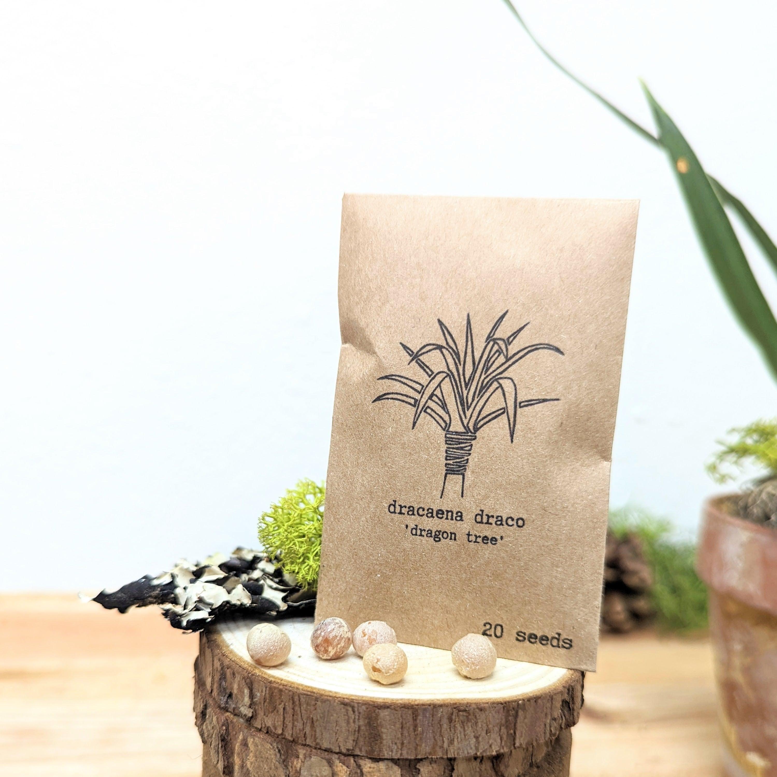 "Grow your own Jungle" Houseplant Seed Collection - Plantflix