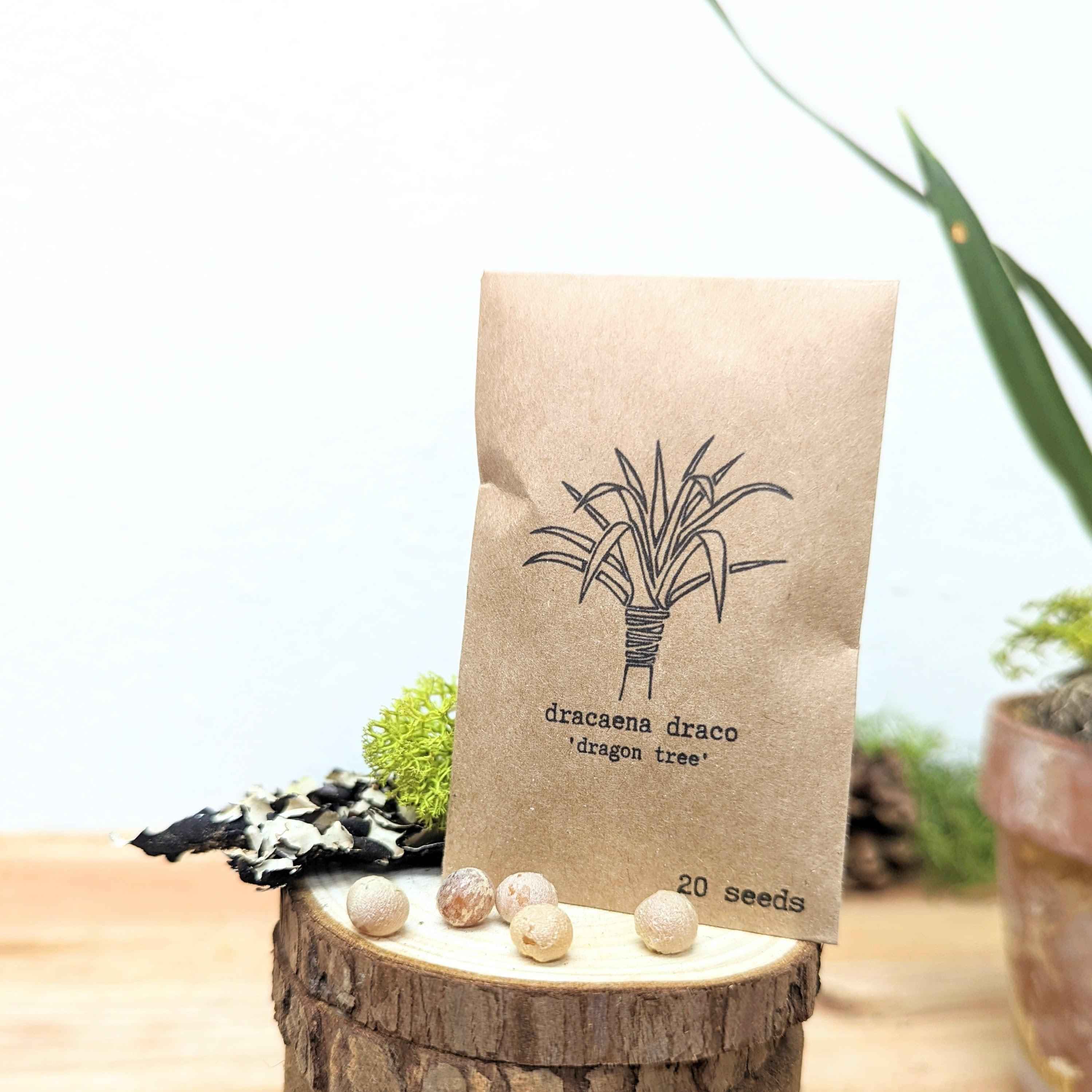 "Grow your own Jungle" Houseplant Seed Collection