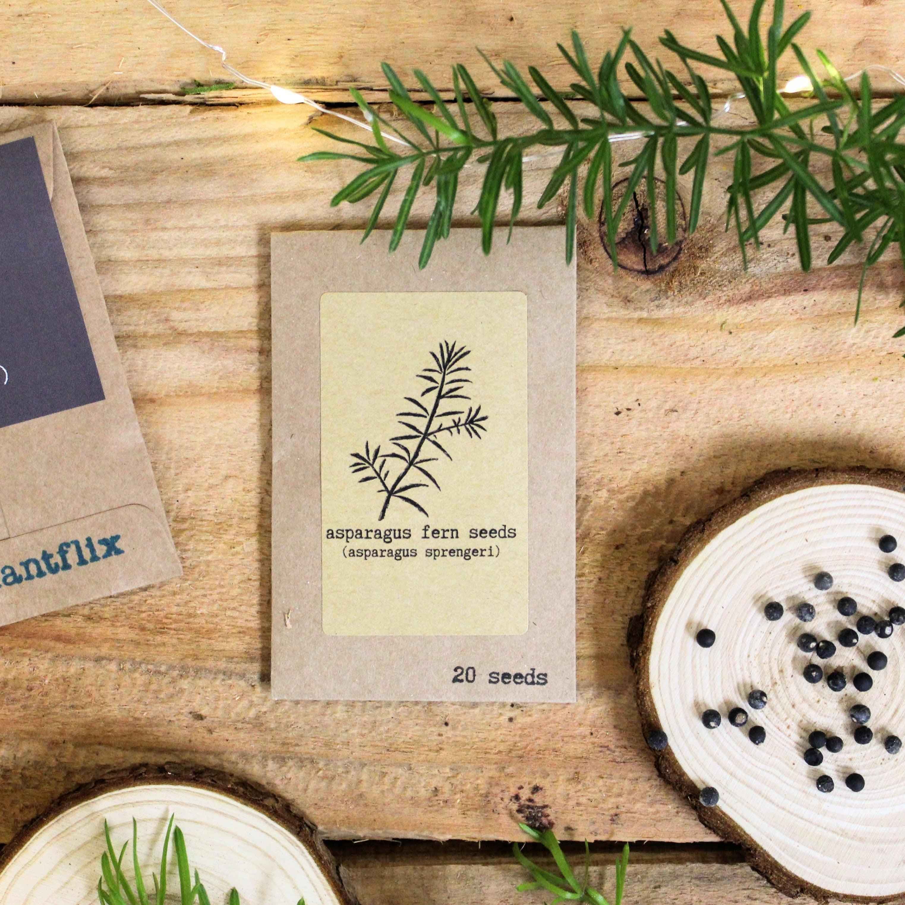 "Grow your own Jungle" Houseplant Seed Collection