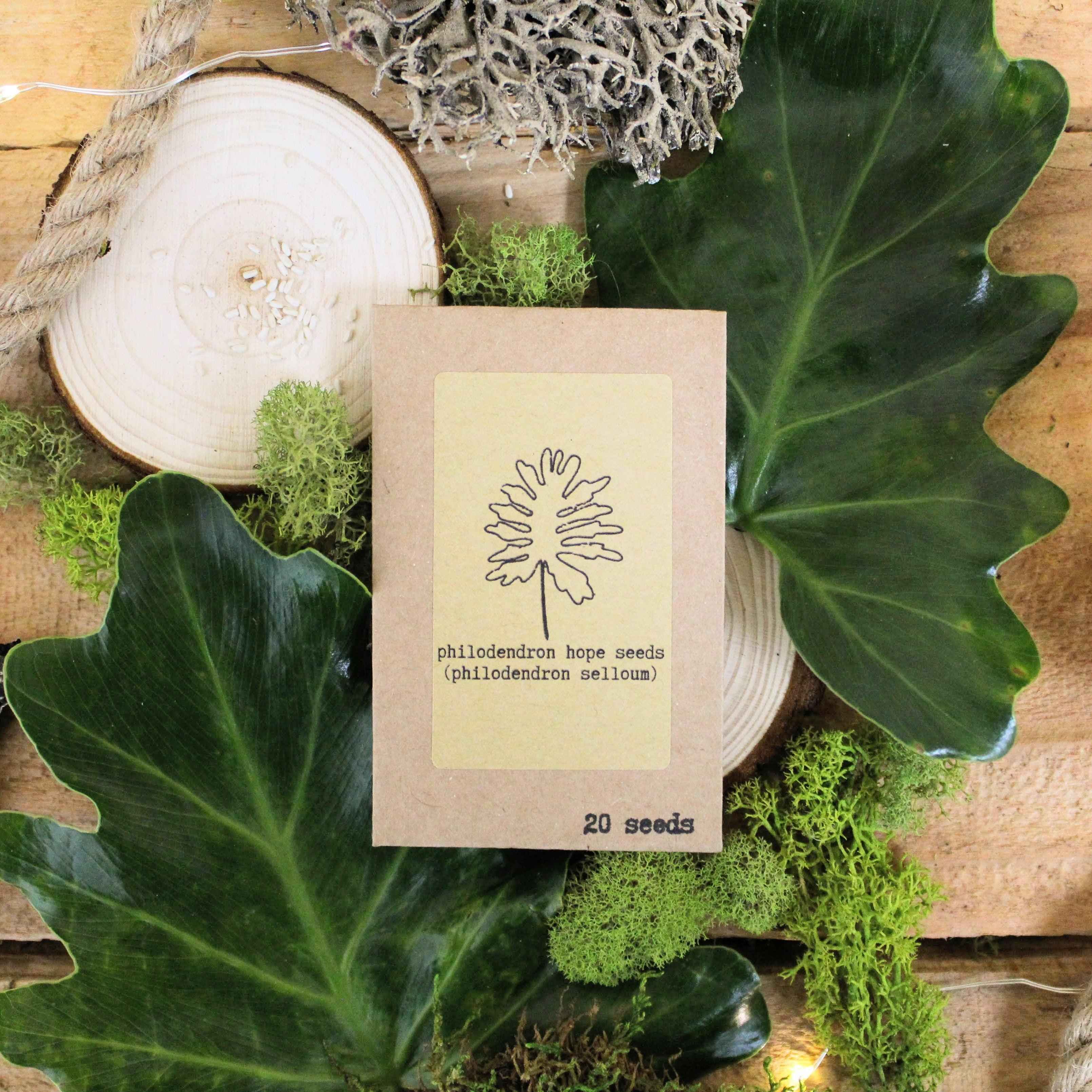 "Grow your own Jungle" Houseplant Seed Collection