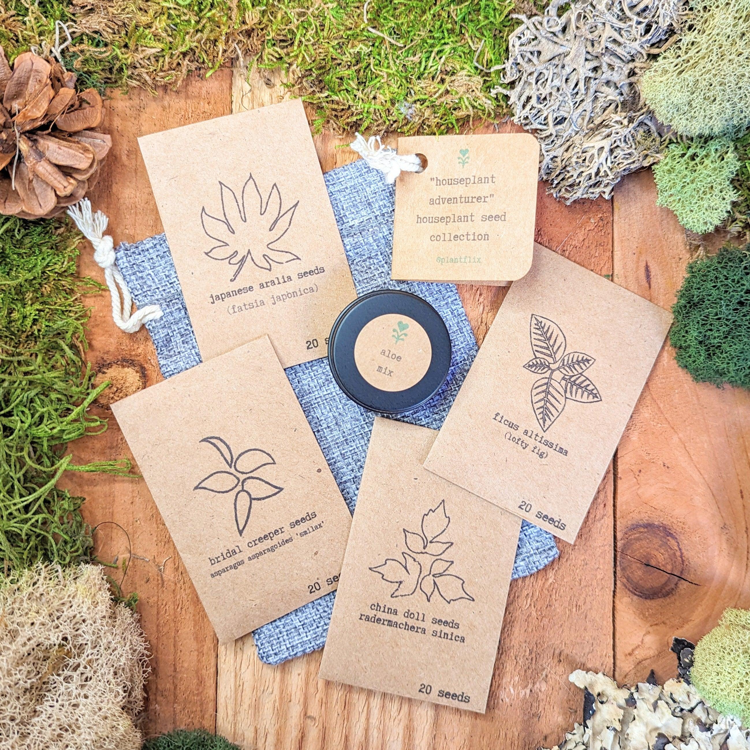 "Houseplant Adventurer" Houseplant Seed Collection - Plantflix