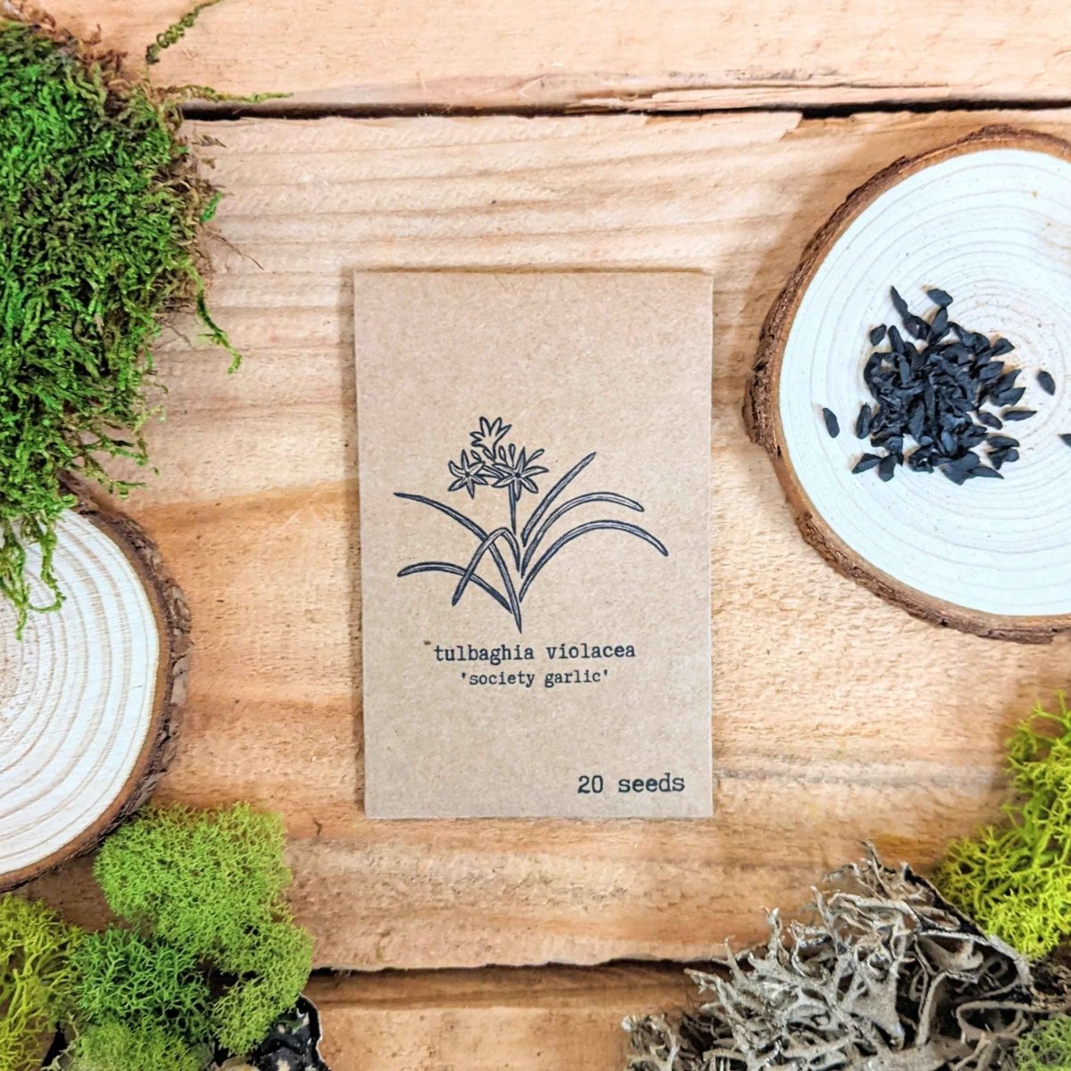 "Houseplant Newbie" Houseplant Seed Collection - Plantflix