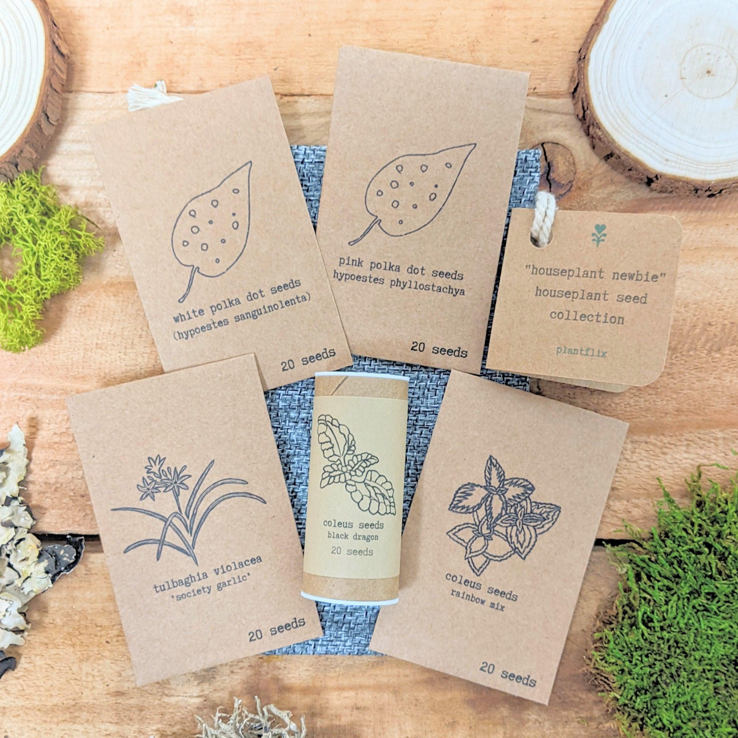 "Houseplant Newbie" Houseplant Seed Collection - Plantflix