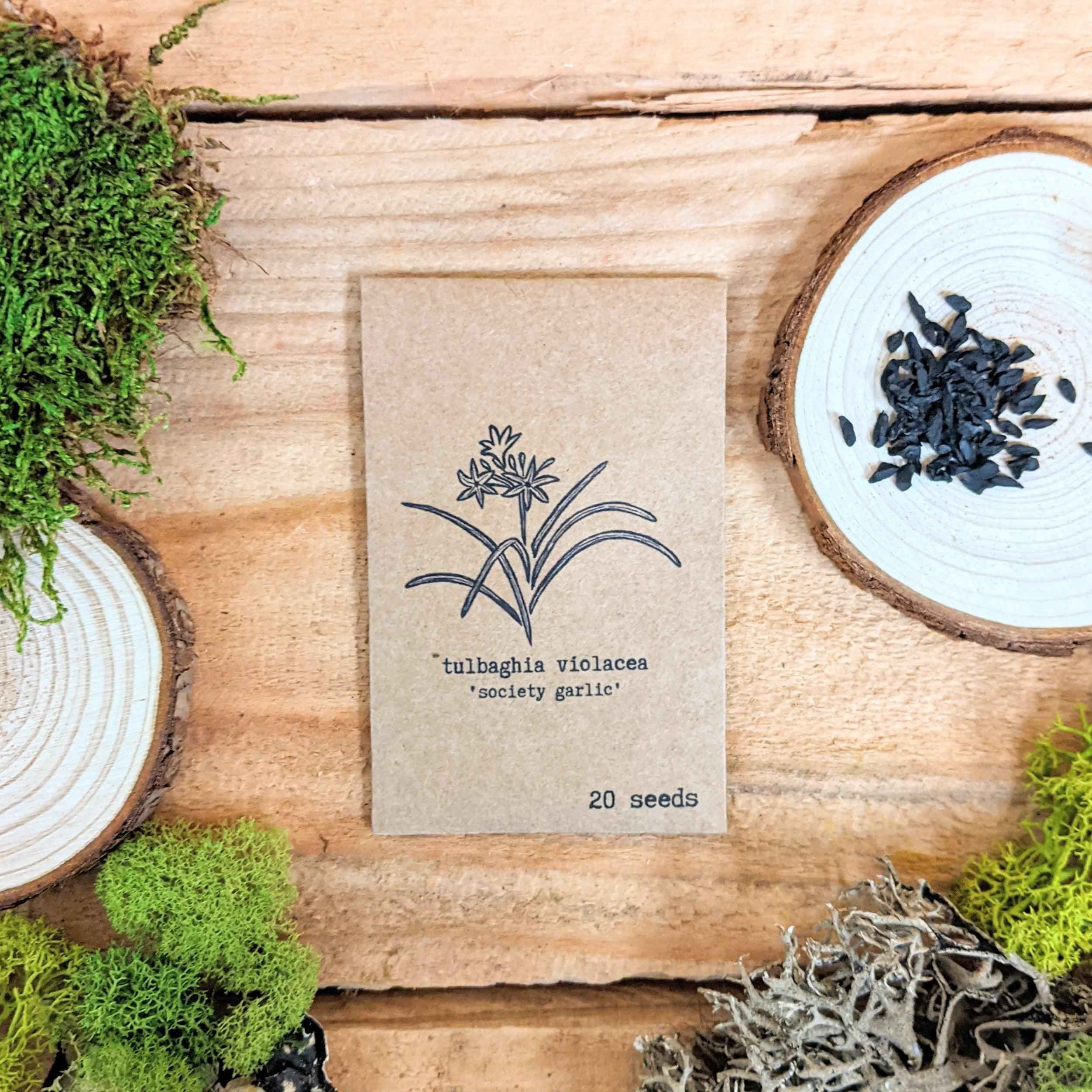 "Houseplant Newbie" Houseplant Seed Collection