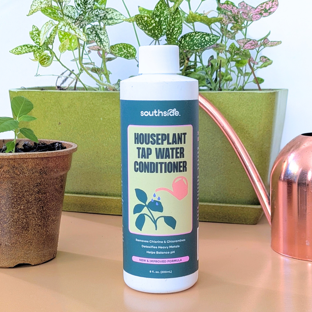 Houseplant Tap Water Conditioner - Southside - Plantflix