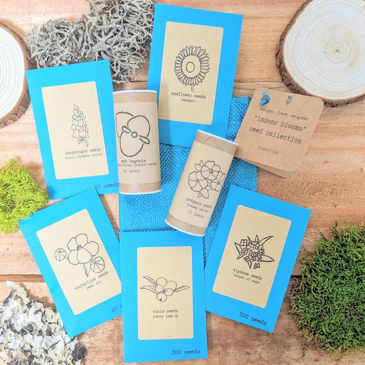 "Indoor Blooms" Seed Collection - Plantflix