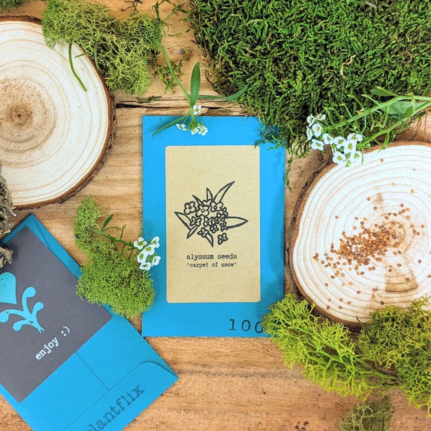 "Indoor Blooms" Seed Collection - Plantflix