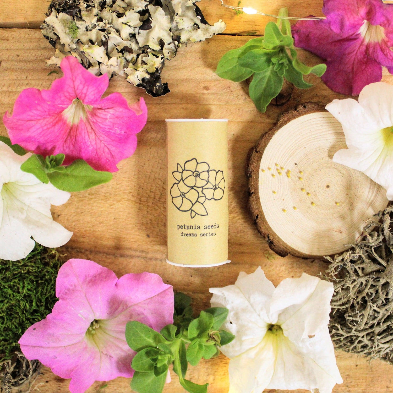 "Indoor Blooms" Seed Collection - Plantflix