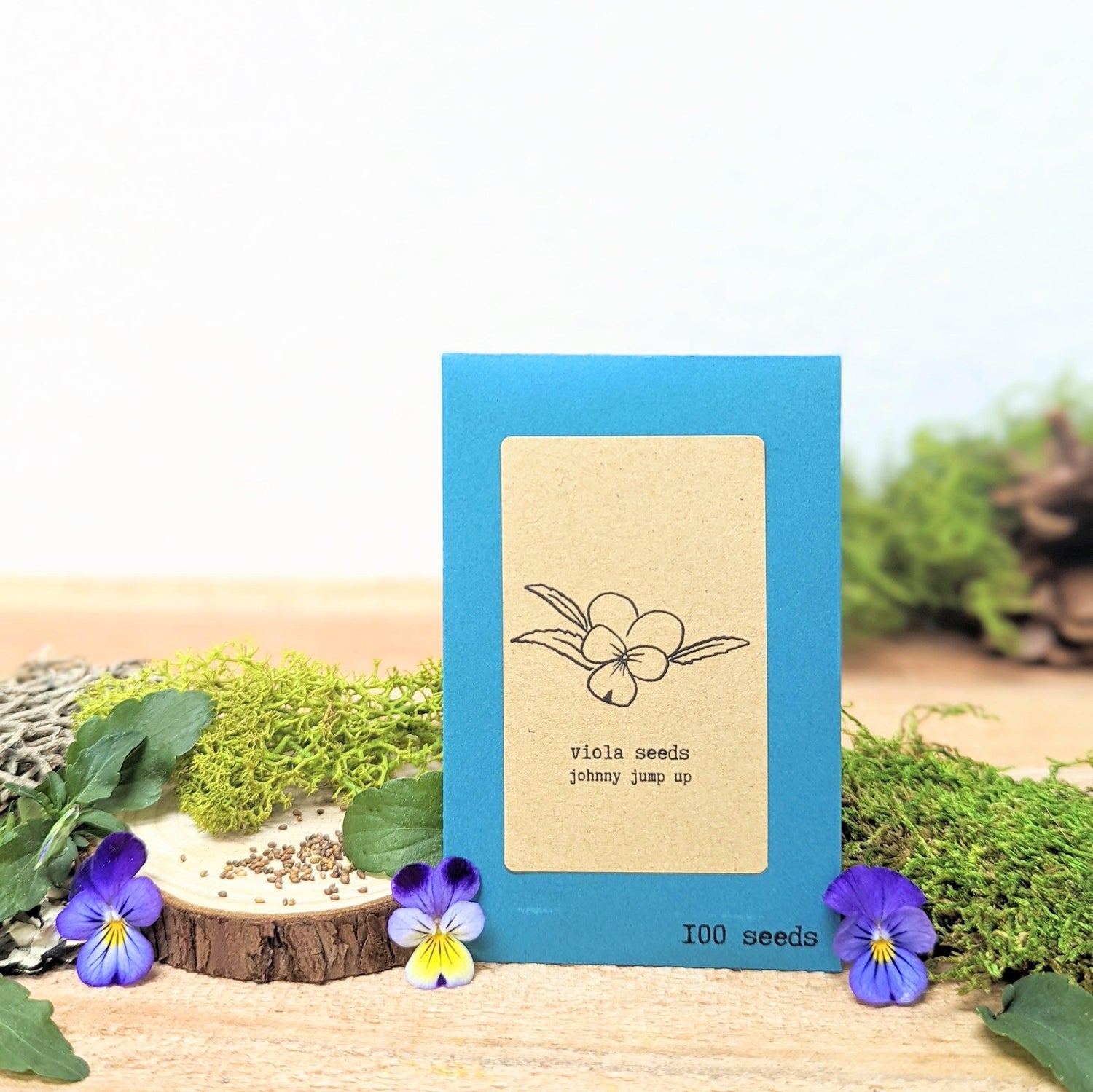 "Indoor Blooms" Seed Collection - Plantflix