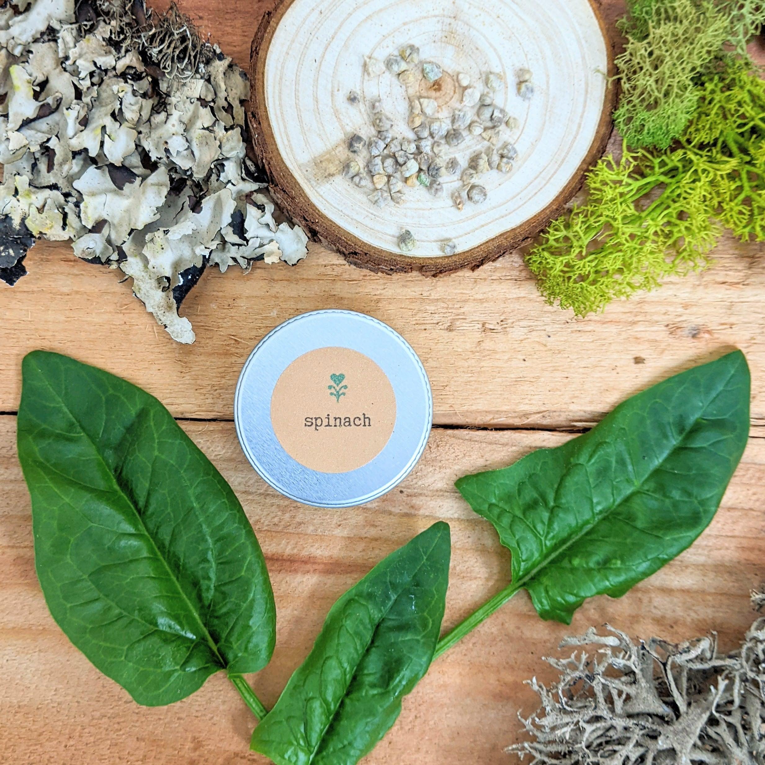 "Leafy Greens" Seed Collection - Plantflix