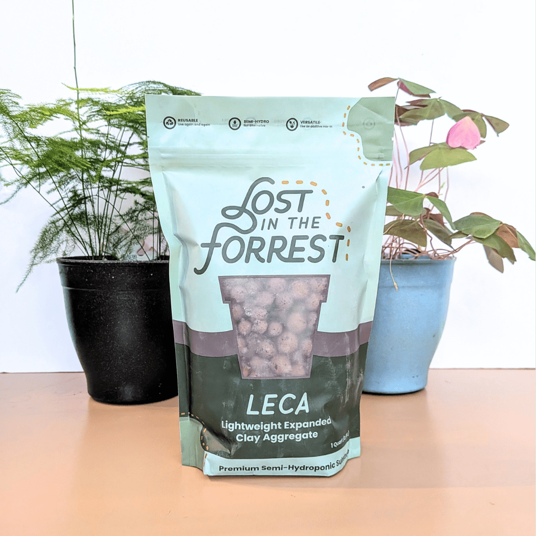 Leca - Lost in the Forrest - Plantflix