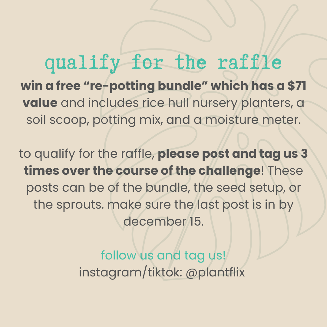 Seed-to-Sprout Monstera Plant Challenge