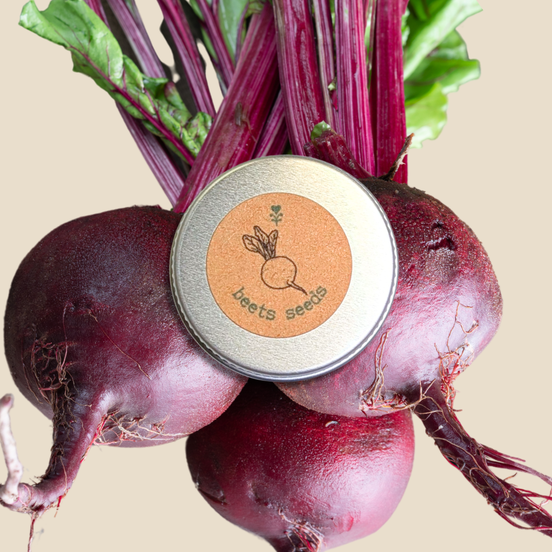 Organic Beet Seeds - Plantflix