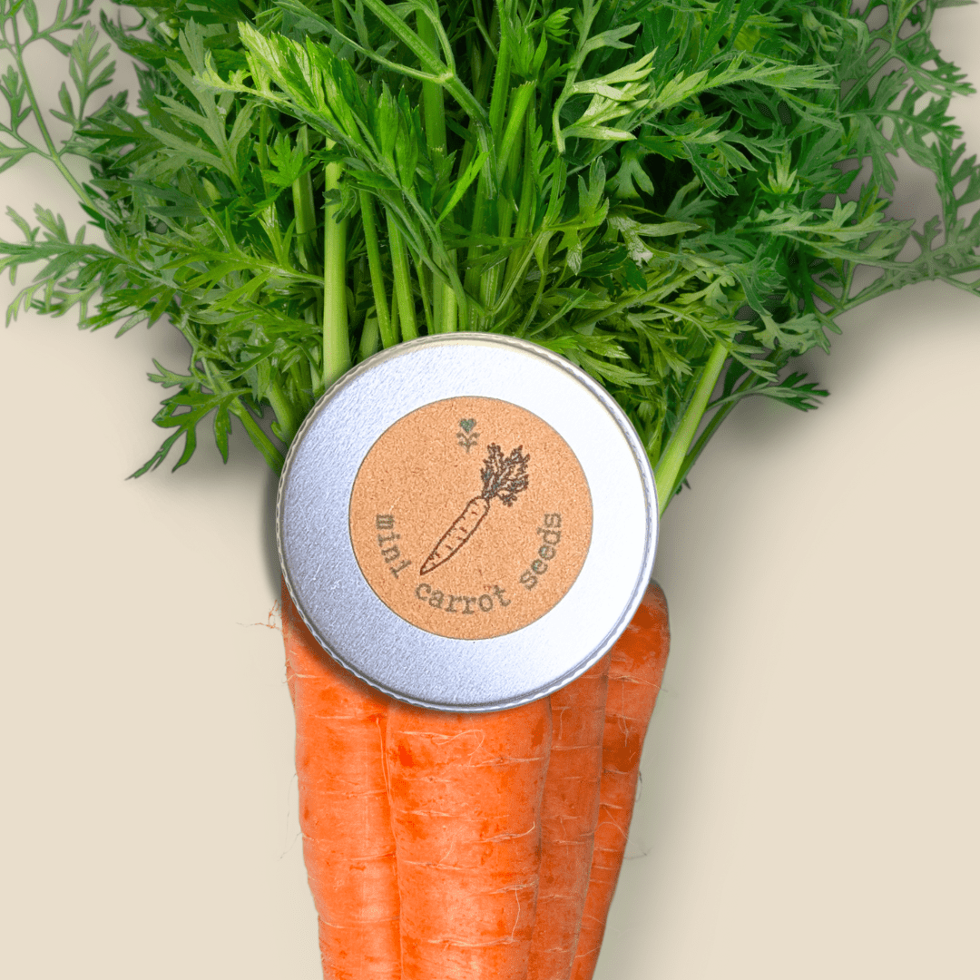 Organic Carrot "Little Fingers" Seeds - Plantflix