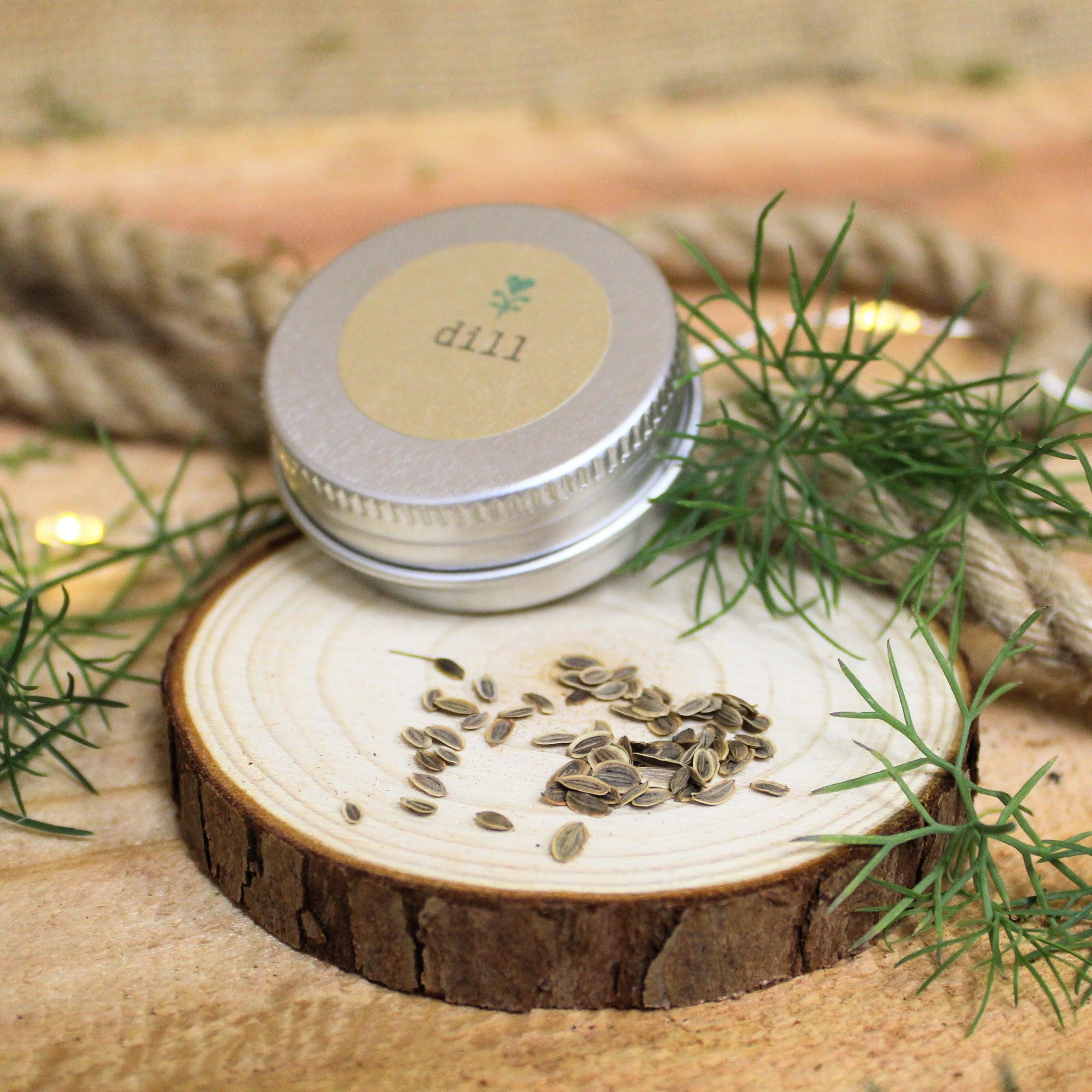 Organic Dill Seeds - Plantflix