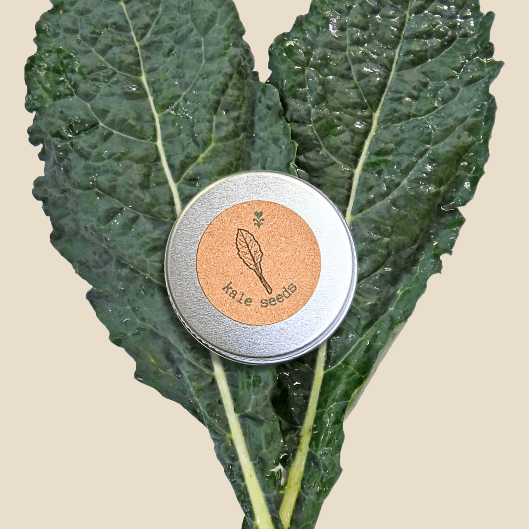 Organic Kale Seeds - Plantflix