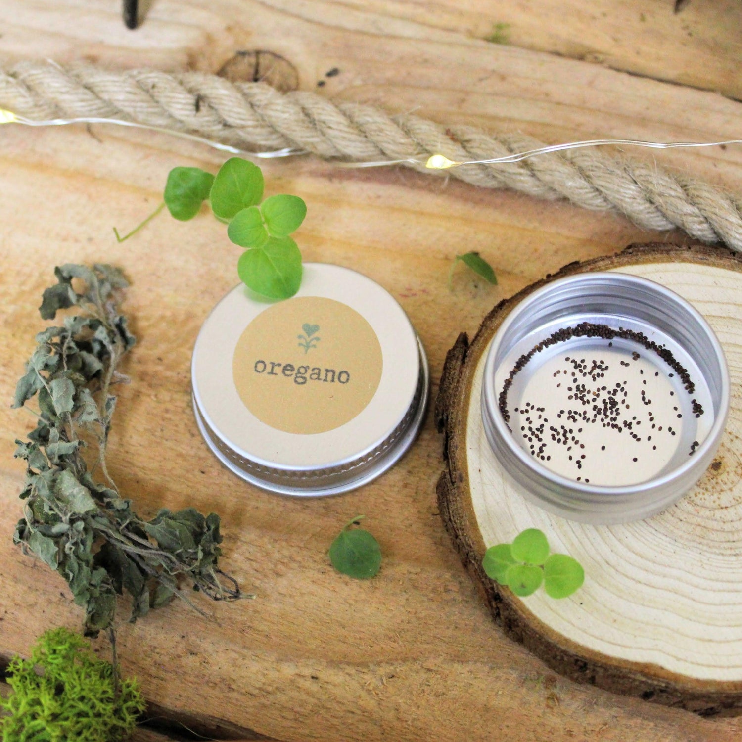 Organic Oregano Seeds - Plantflix