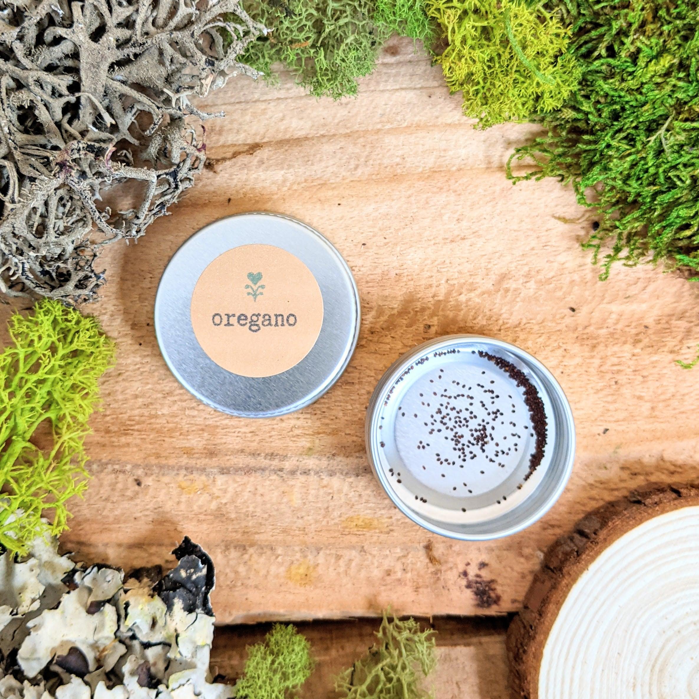 Organic Oregano Seeds - Plantflix