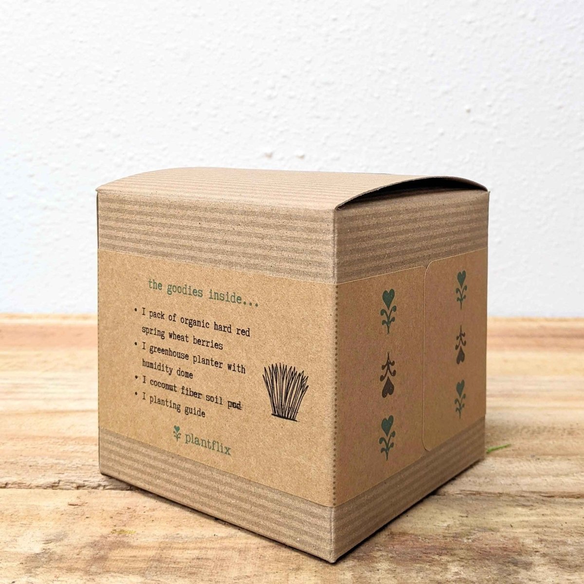 Organic Petgrass Grow Kit - Plantflix
