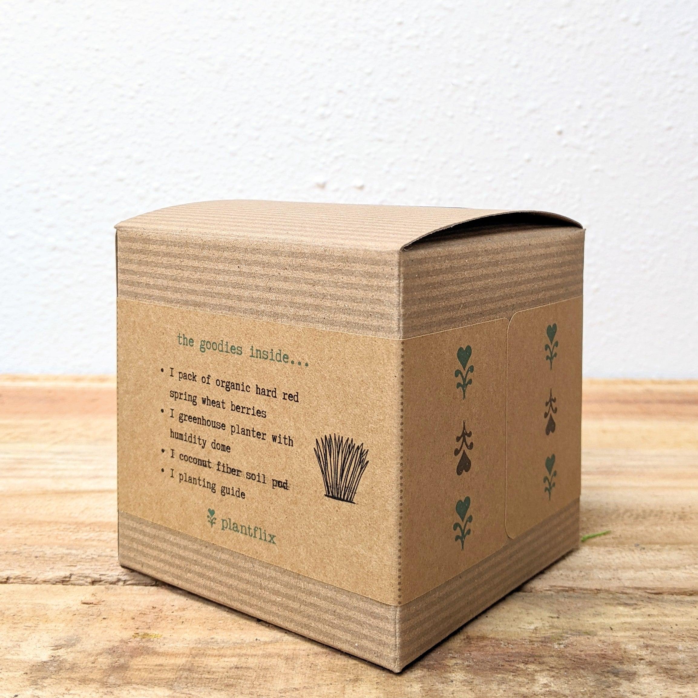 Organic Petgrass Grow Kit - Plantflix