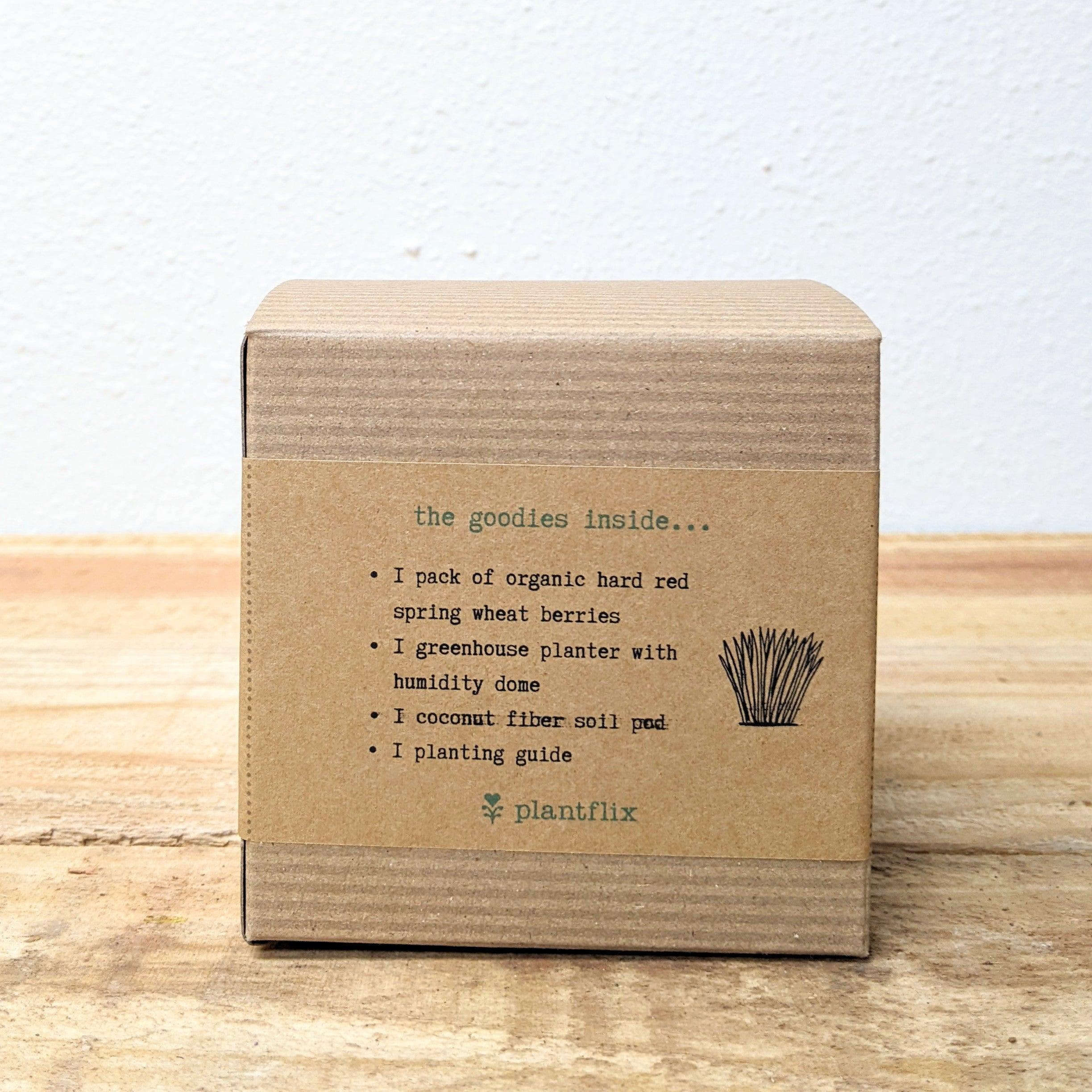 Organic Petgrass Grow Kit - Plantflix