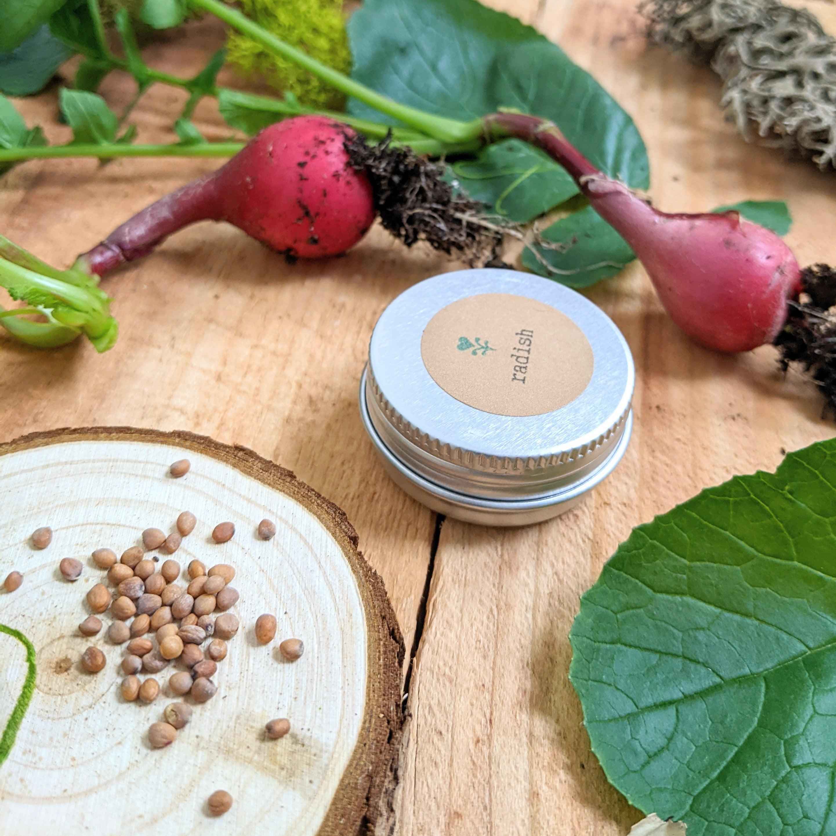 Organic Radish Seeds