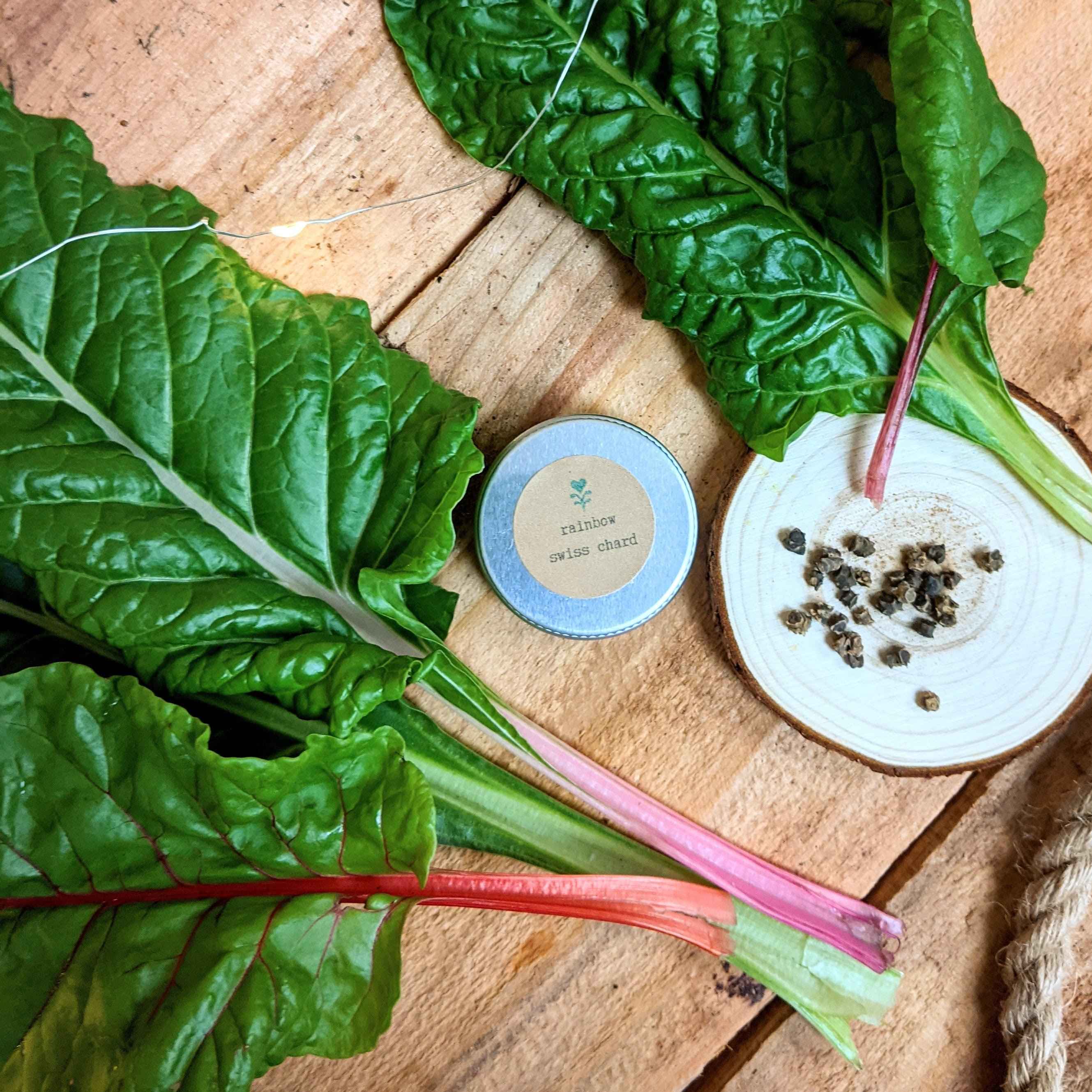 Organic Rainbow Swiss Chard Seeds
