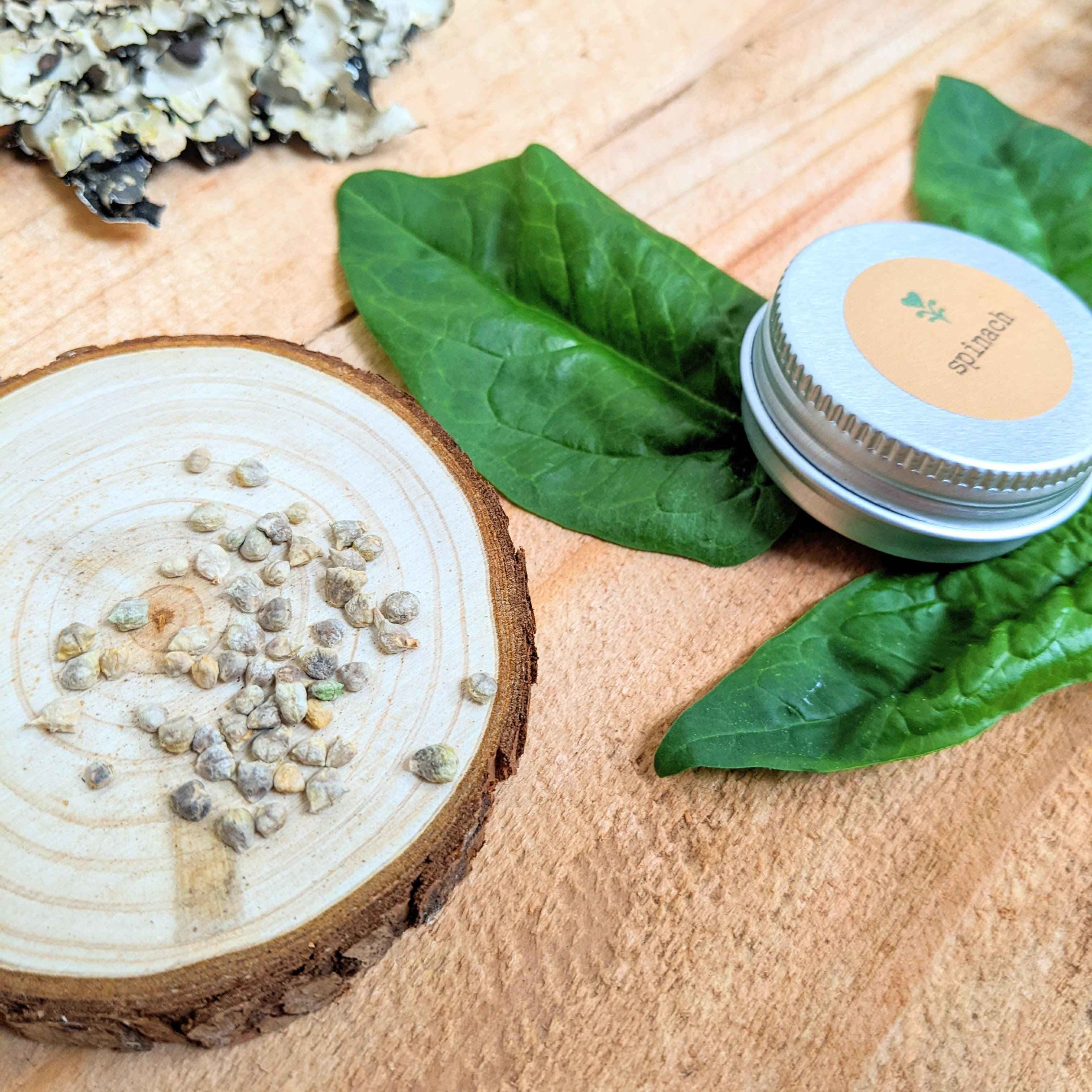 Organic Spinach Seeds