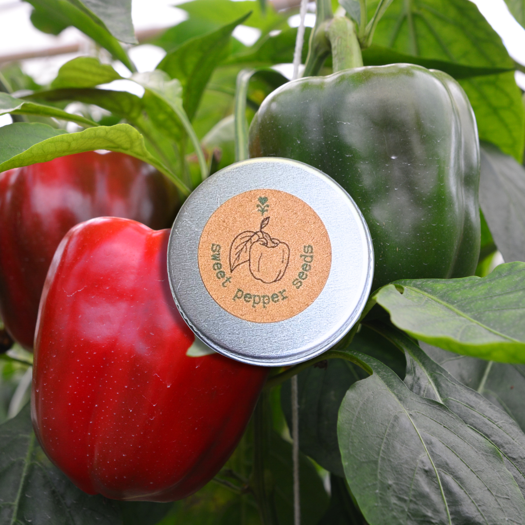 Organic Sweet Pepper Seeds - Plantflix