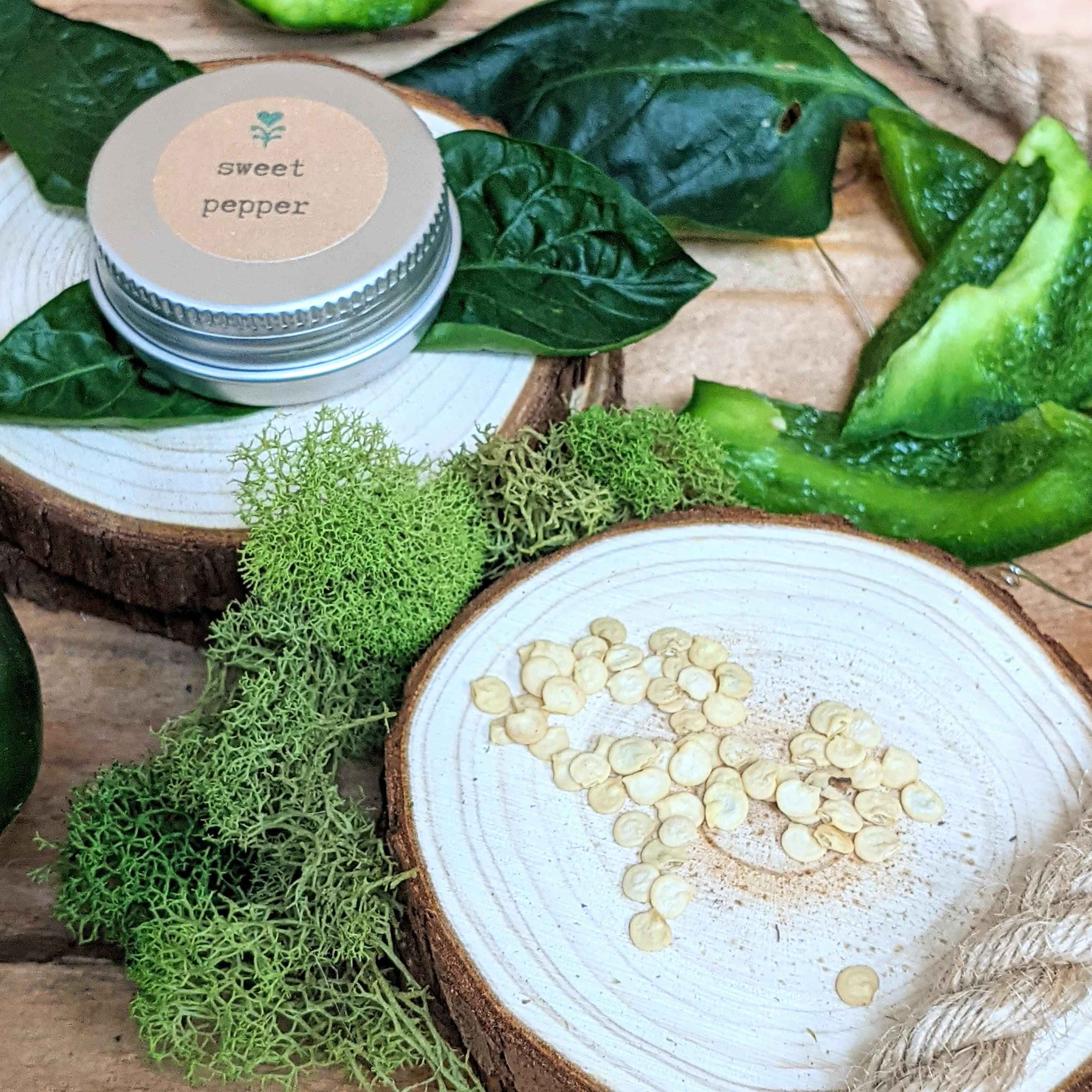 Organic Sweet Pepper Seeds