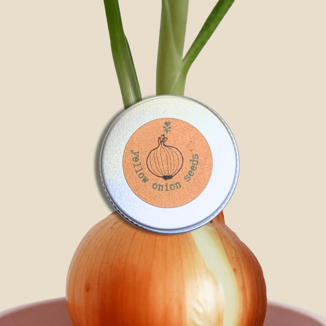 Organic Yellow Onion Seeds - Plantflix